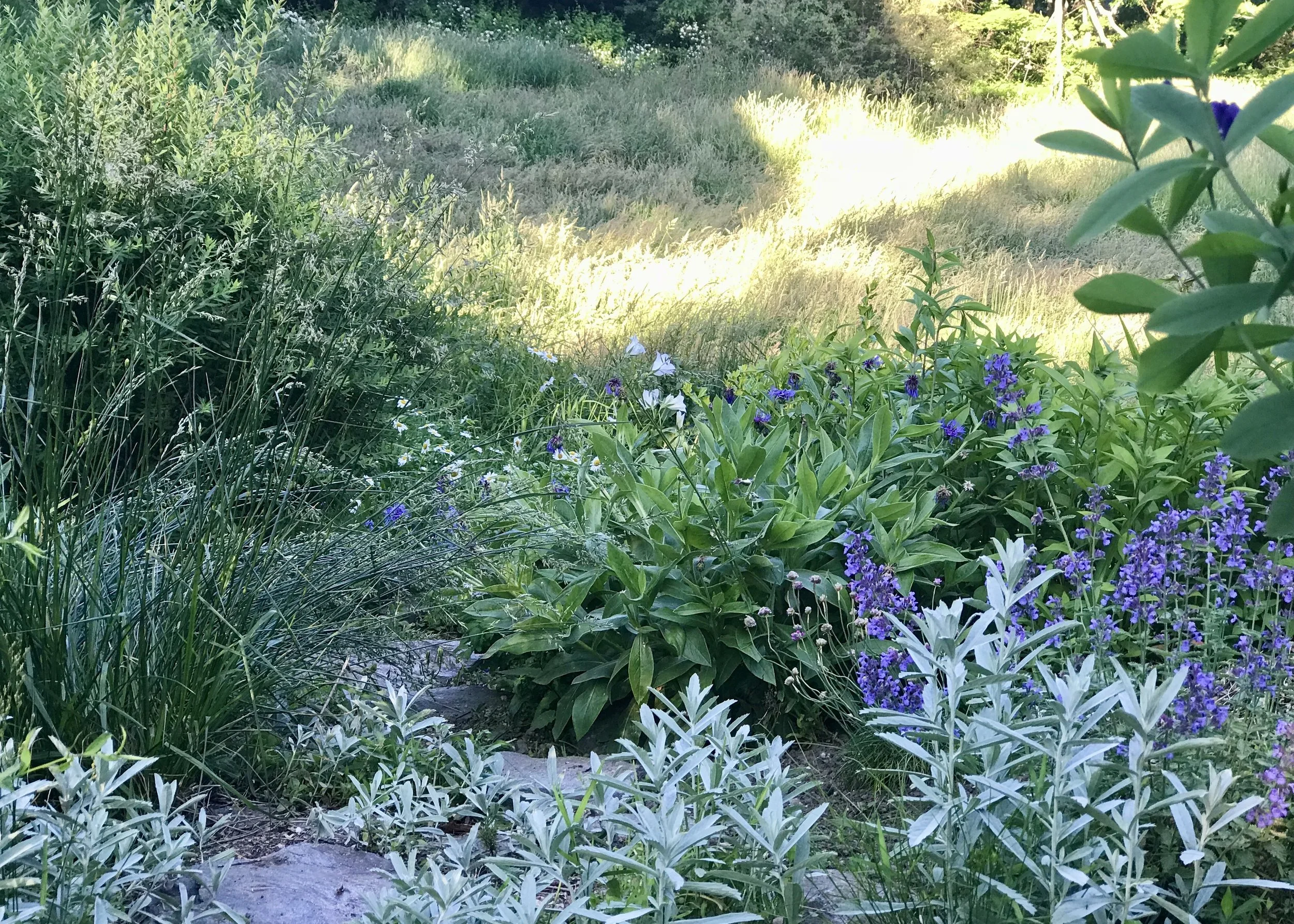 IMG_2271.jpeg