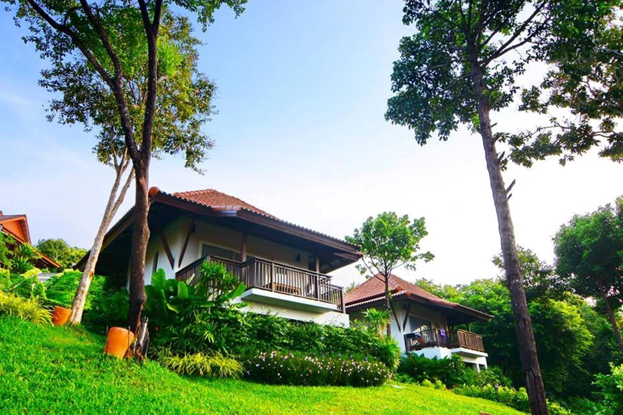 A house with a balcony surrounded by lush green trees and plants in a sunny, clear sky.