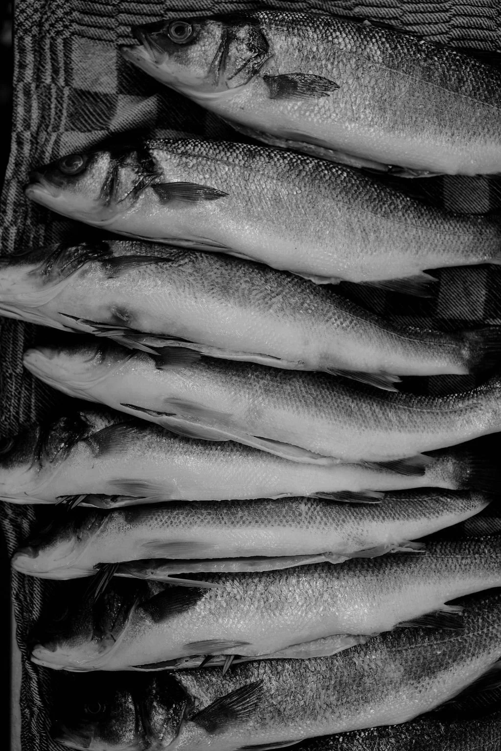 Een creatieve blik op de ingrediënten achter de menukaart van Piatti Beach. Van verse vis en lokale producten tot het uiteindelijke gerecht: De Eetgency vertaalt het verhaal achter een restaurant naar strategische foto- en videocontent voor social me