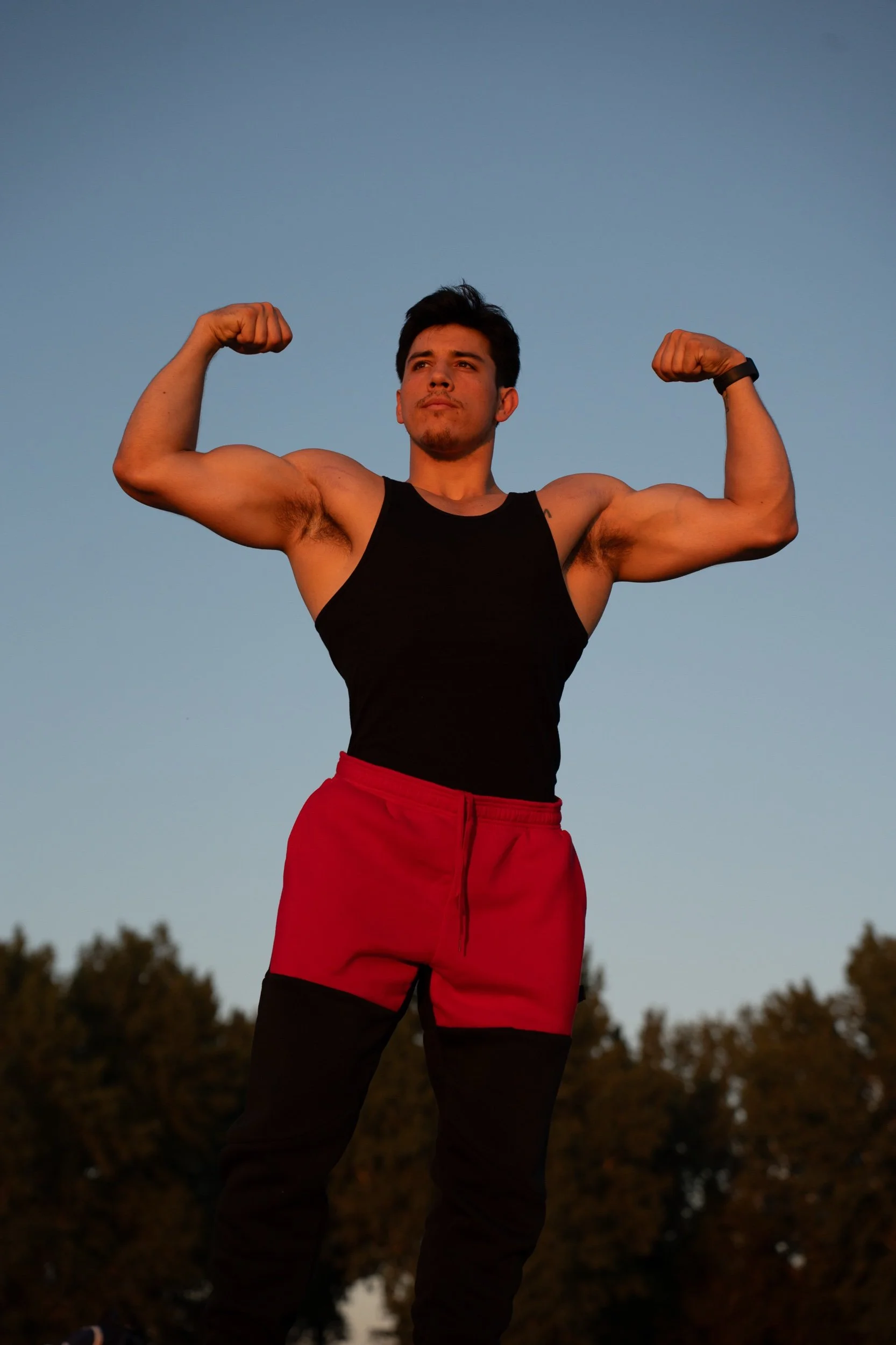 VArash Dual-Tone Joggers