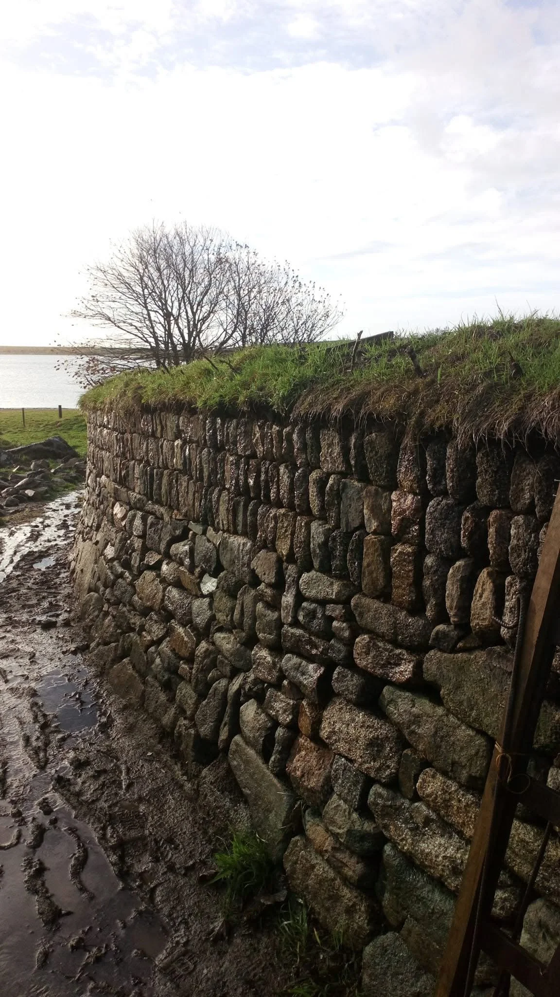 A stone retaining wall alongside a muddy pathway, with grass on top and a leafless tree in the background under a partly cloudy sky.