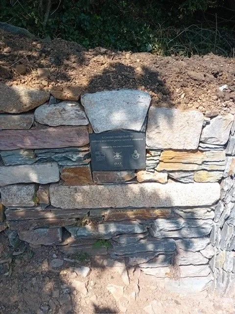 A stone wall with a plaque attached, located outdoors with soil and greenery above.