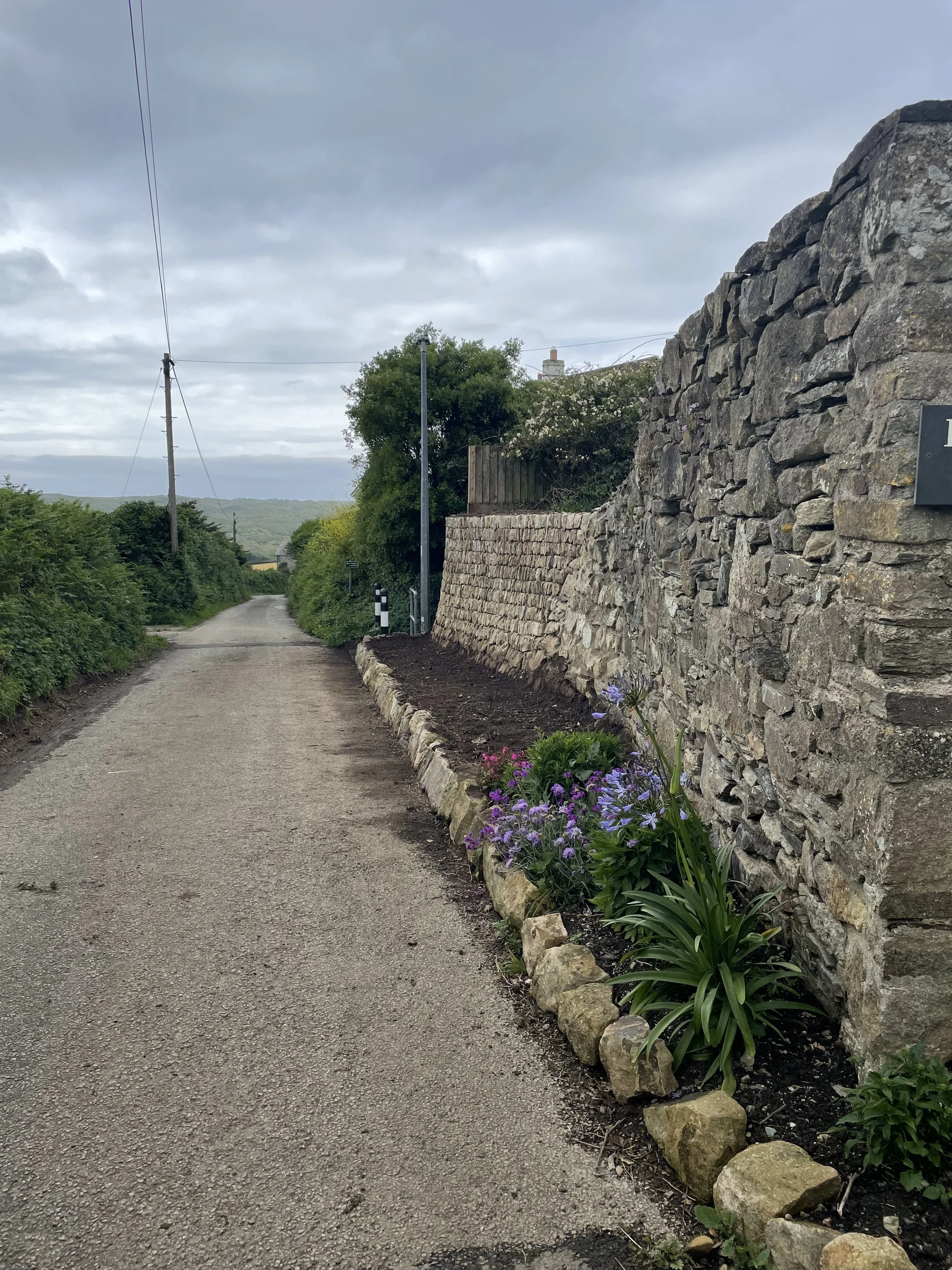 A narrow country road with a stone wall on the right and green bushes on the left, with purple flowers along the base of the wall, under a cloudy sky.