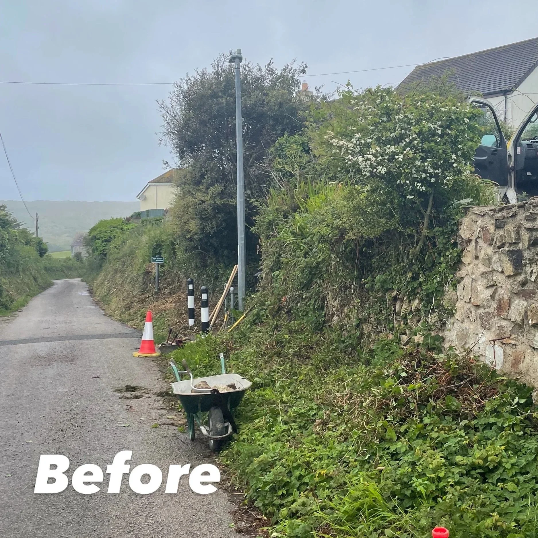 Residential street with overgrown vegetation, a parked vehicle with an open door, a small wheelbarrow, and a 'before' label on the image.