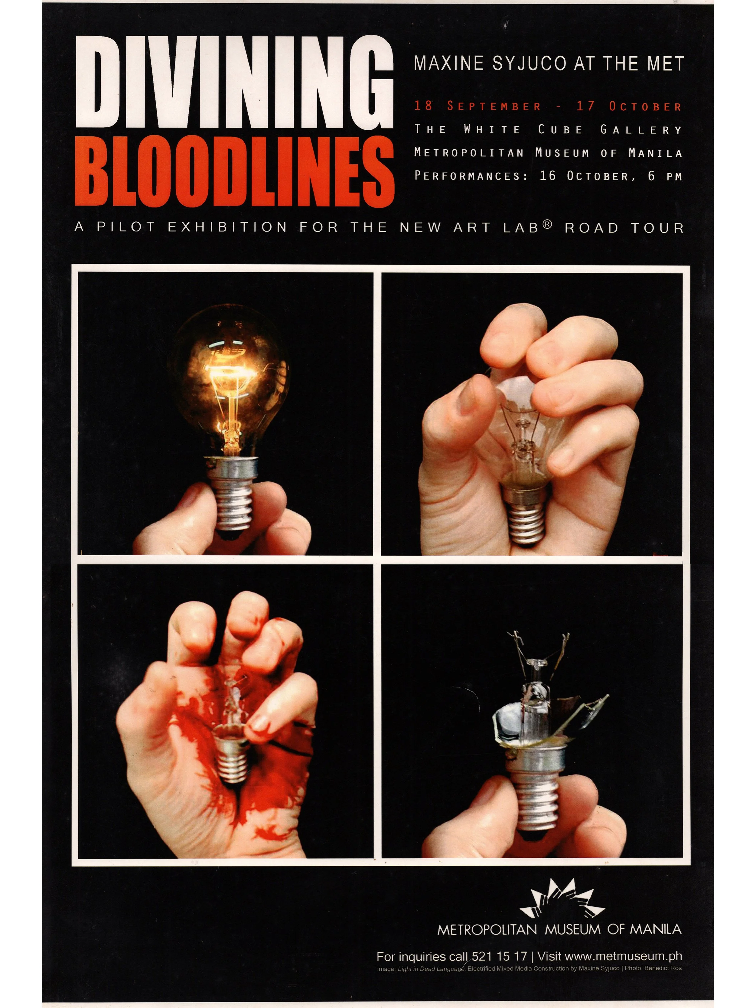 Maxine Syjuco: "Divining Bloodlines - Maxine Syjuco at The Met", The White Cube Metropolitan Museum of Manila (2009) - Design by Maxine Syjuco