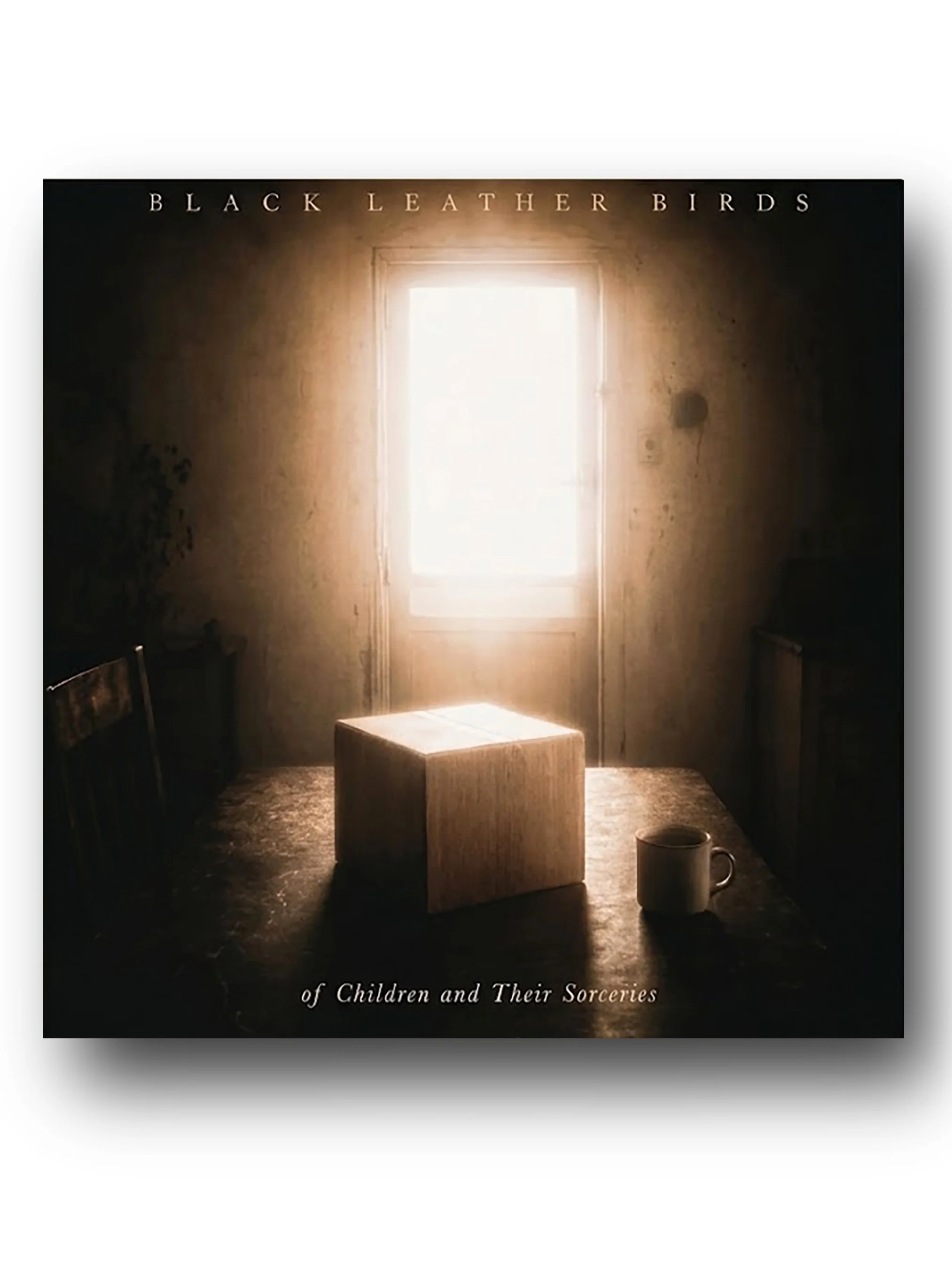 ArtLab-SyjucoMuseum-AGSyjuco-BlackLeatherBirds-ofChildrenAndTheirSorceries-Vinyl2.JPG