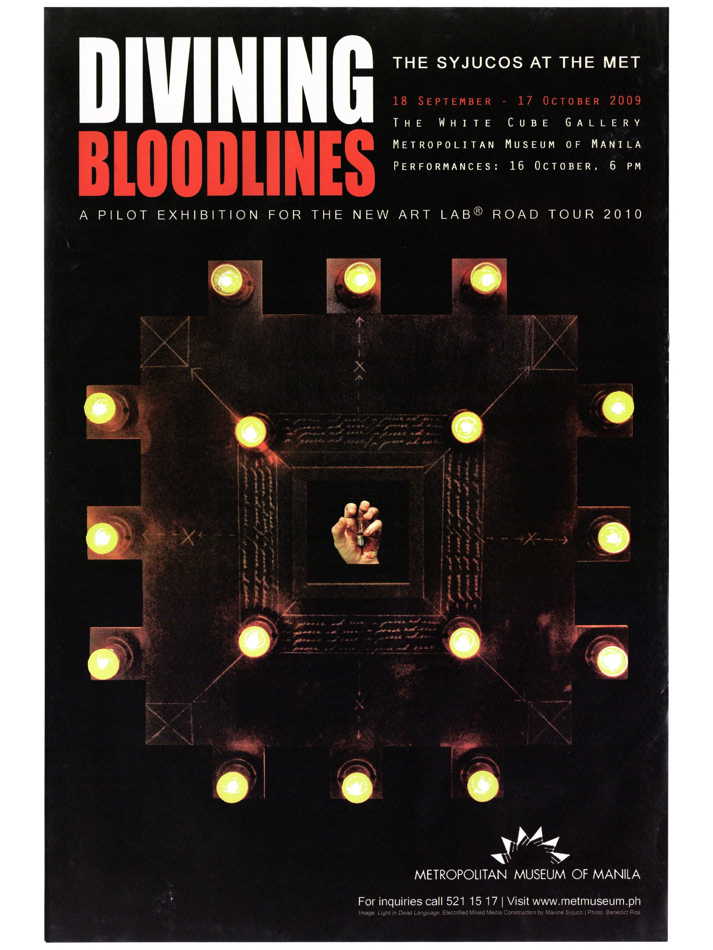 Cesare A.X. Syjuco • Jean Marie Syjuco • Maxine Syjuco: "Divining Bloodlines, The Syjucos at The Met", The White Cube Gallery, Metropolitan Museum of Manila (2009) - Photography by Benedict Ros / Design by Maxine Syjuco from her installation "Light i