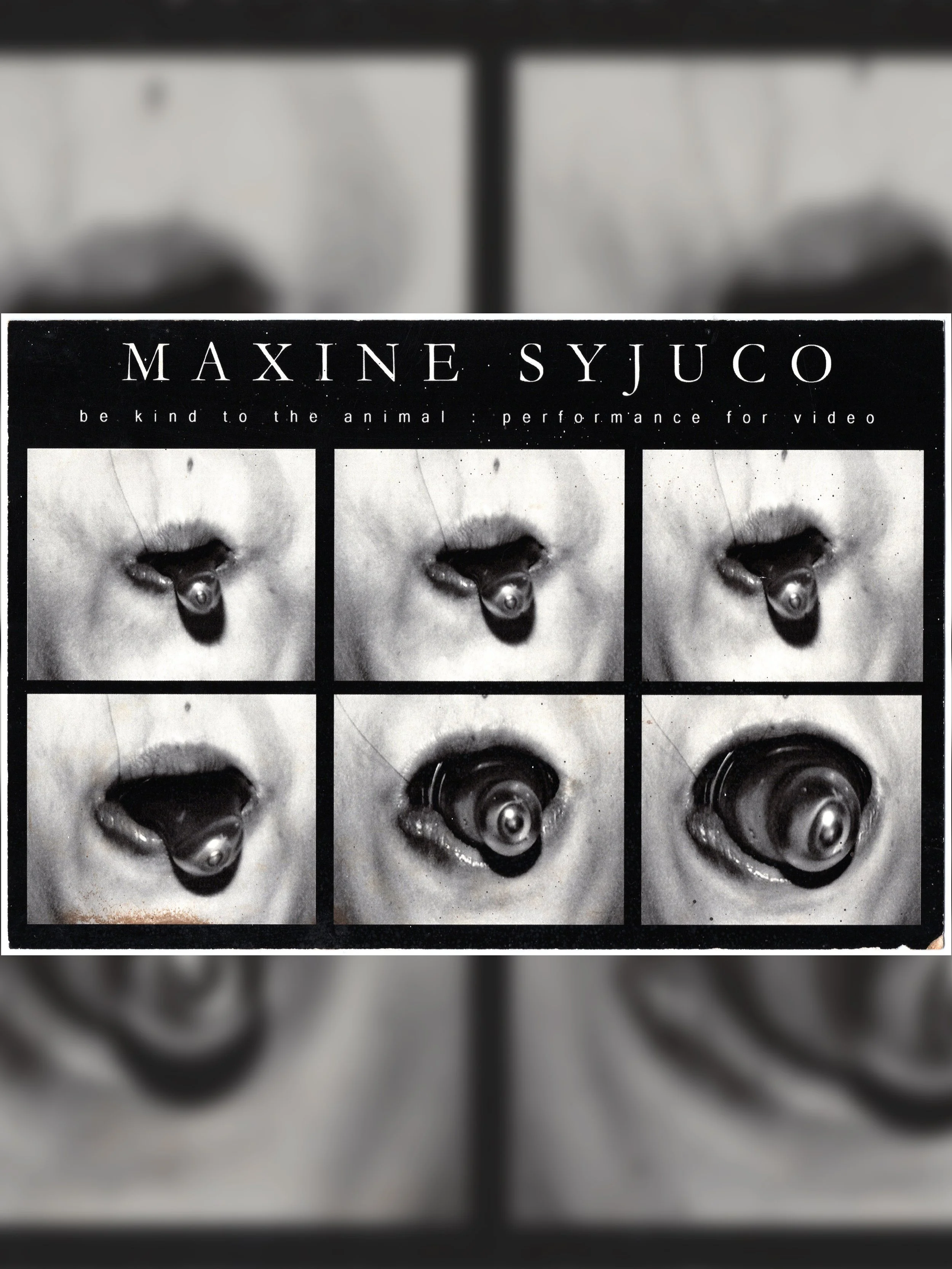 Maxine Syjuco: "Be Kind to Animal: A Performance Video" (2012) - Design by Maxine Syjuco