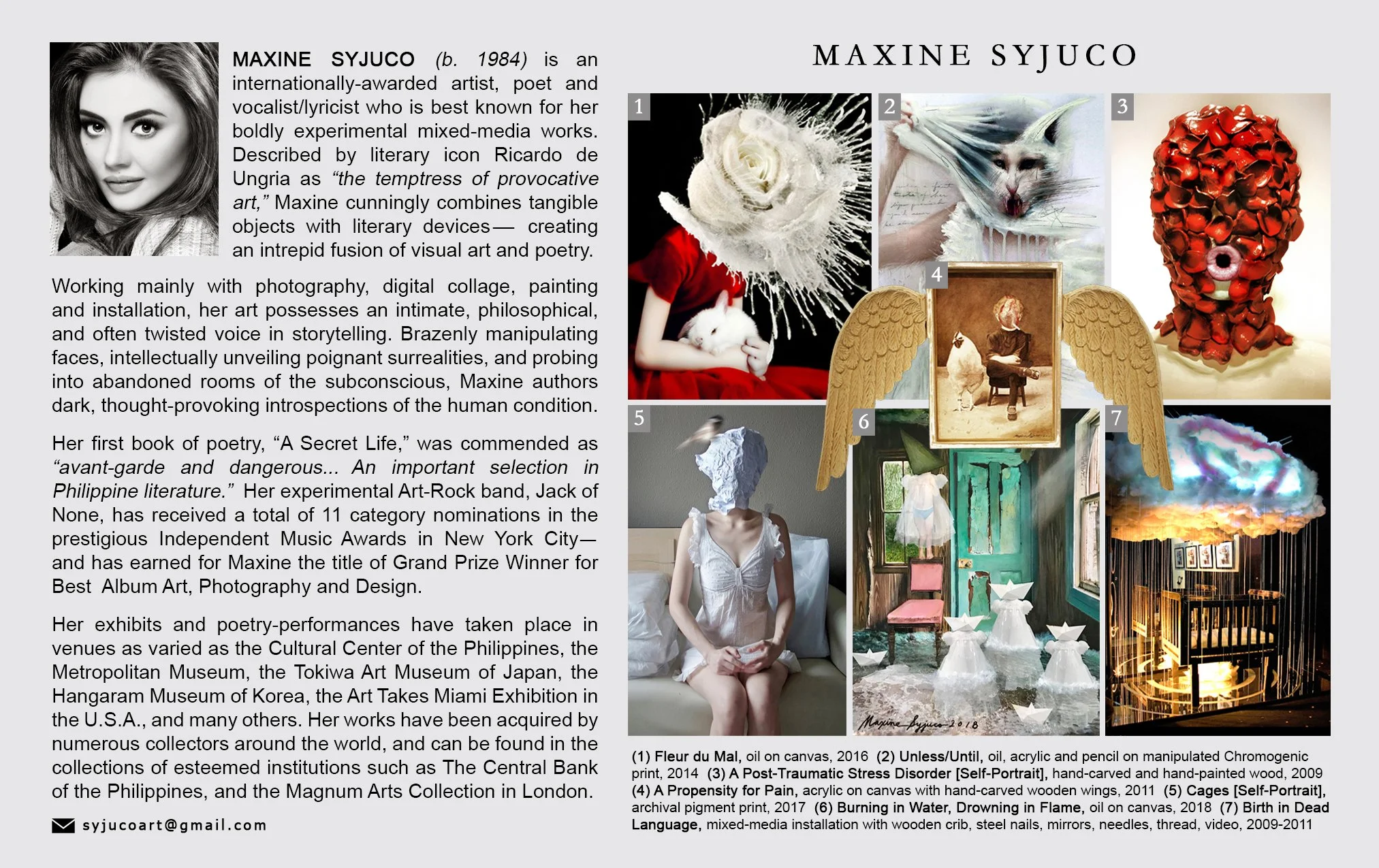 Maxine Syjuco - biography biodata and artworks from the ART LAB catalog - The Syjuco Museum