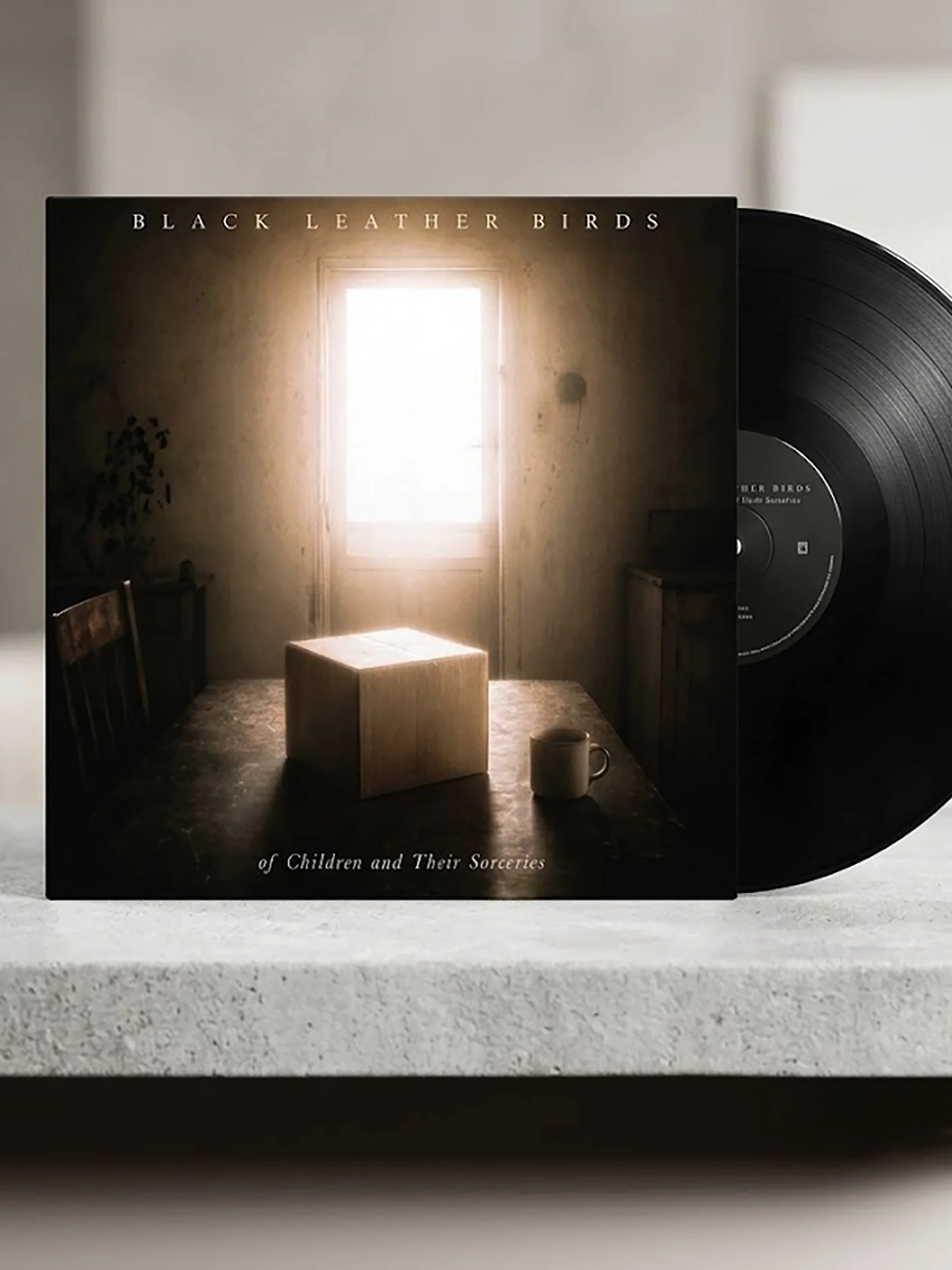 of Children and Their Sorceries [Vinyl] by Black Leather Birds
