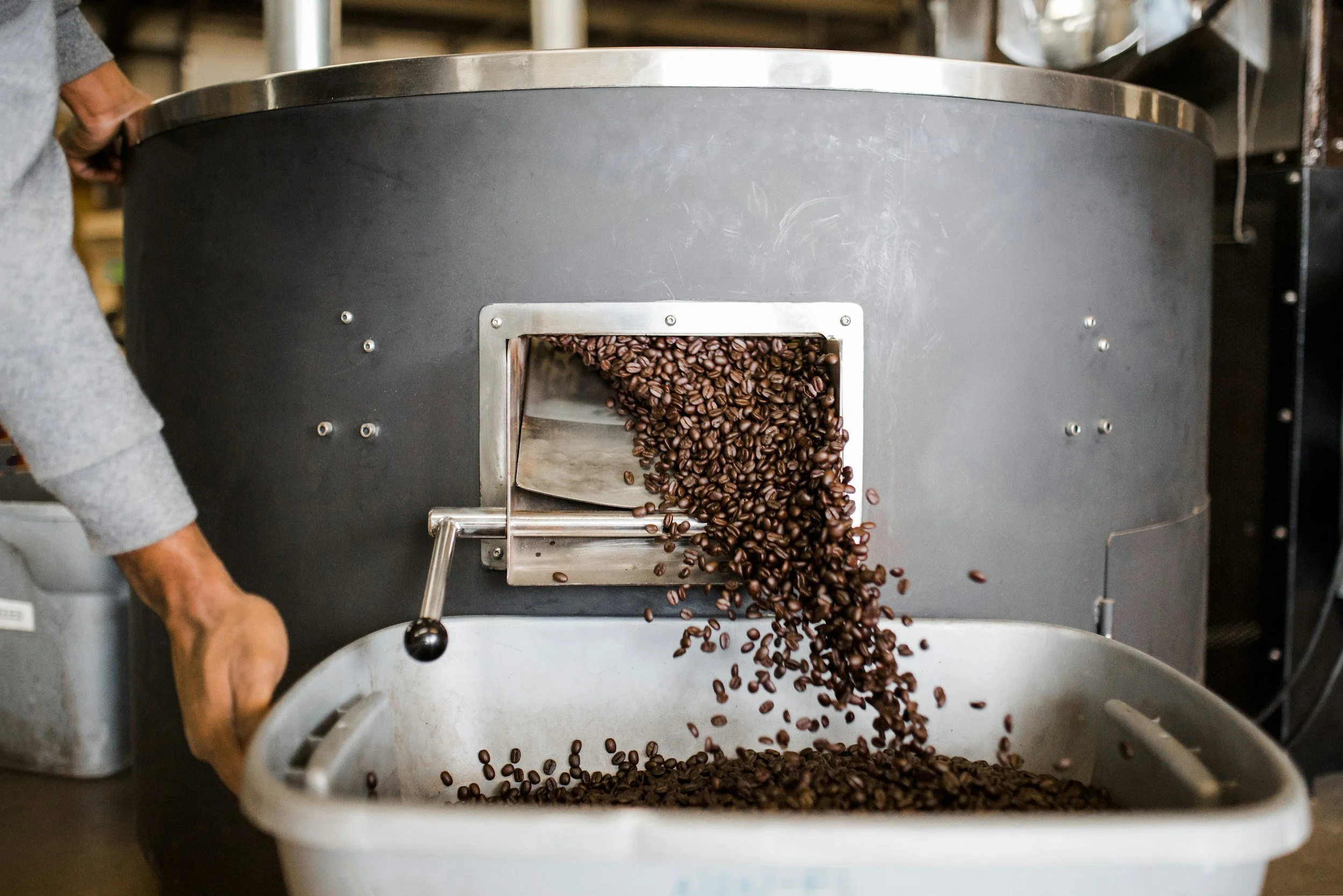 Coffee beans being roasted in a large industrial roaster with a person handling the beans.