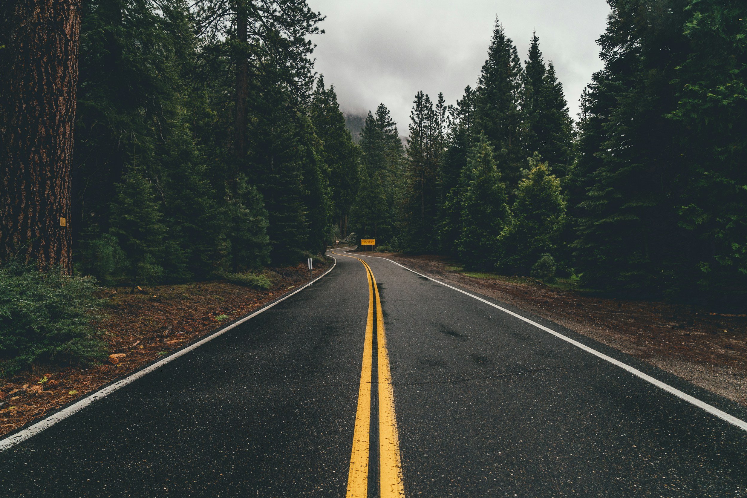 Preparing for the road ahead