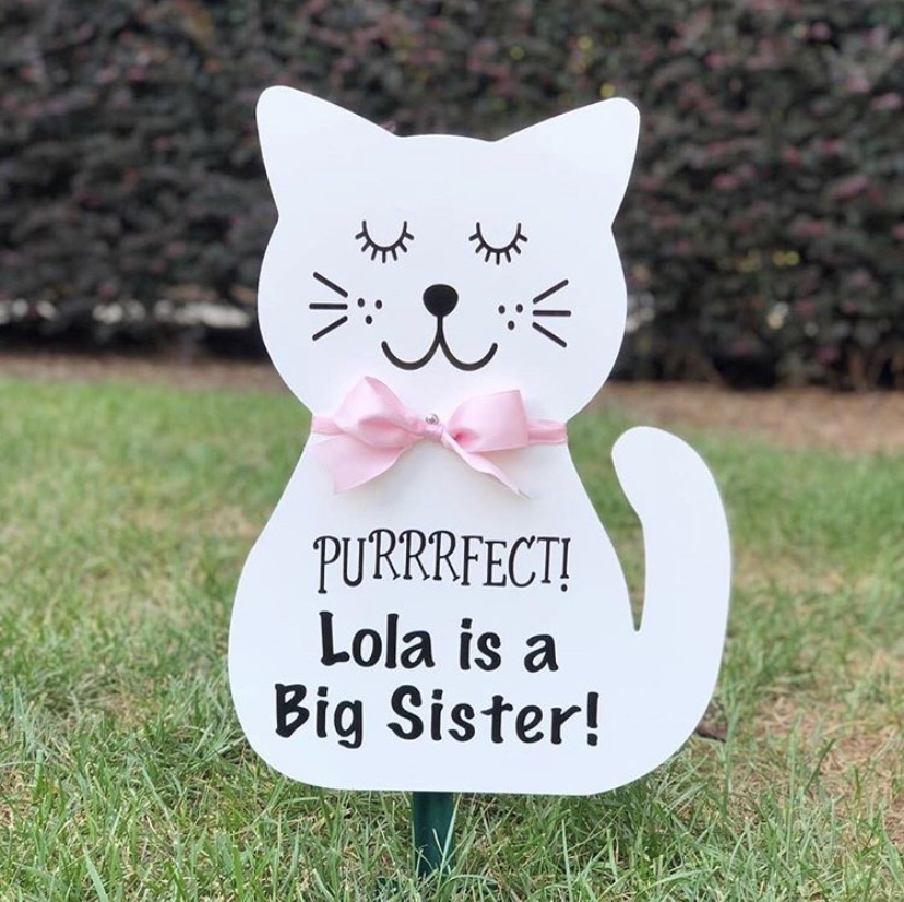 Cat Keepsake Add-On