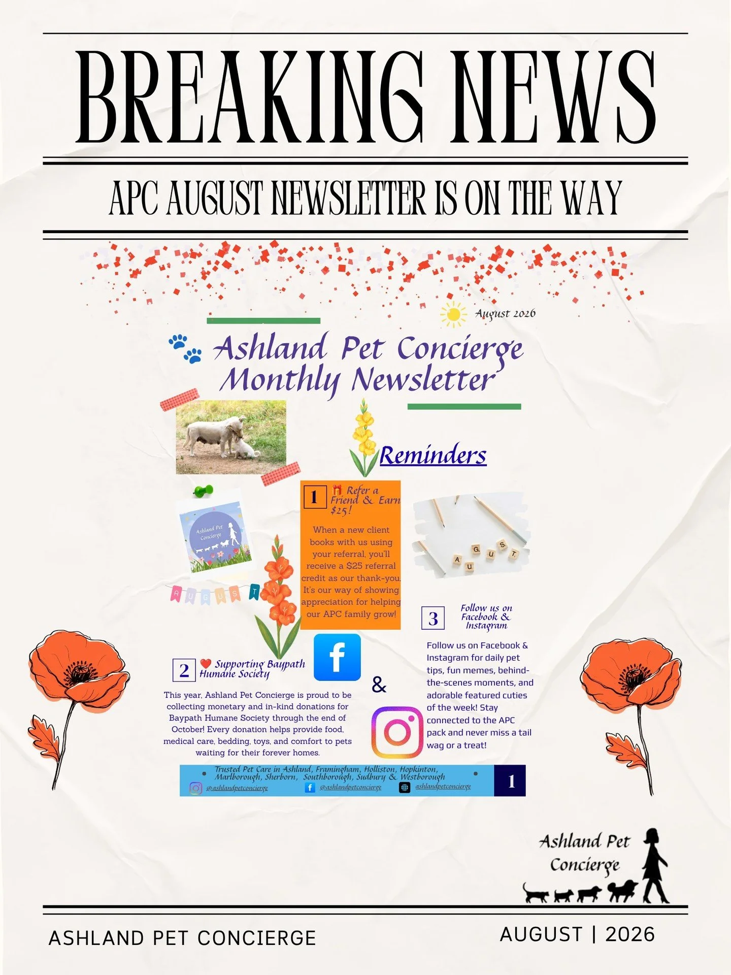 📧 You've got mail... well, almost! 🐶🐱

The Ashland Pet Concierge August Newsletter is heading to your inbox soon! This month's issue includes:
🍂 Tips for creating a healthy fall routine
❤️ Our Baypath Humane Society donation drive
🎁 A reminder a