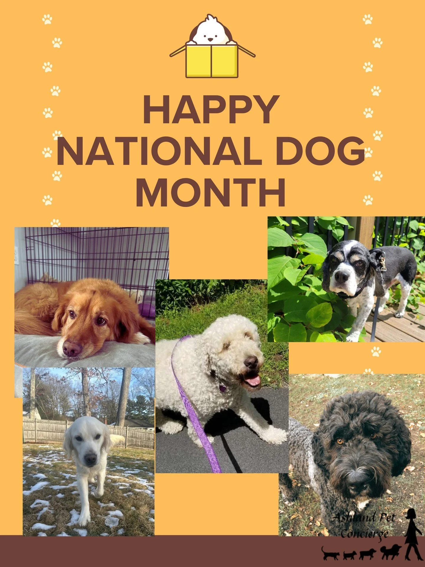 🐶🎉 Happy DOGust! 🎉🐶

August is National Dog Month, and we're celebrating all the amazing pups who bring so much happiness, love, and laughter into our lives! 🐾💚

Whether your pup's perfect day involves a long walk, a game of fetch, a favorite t