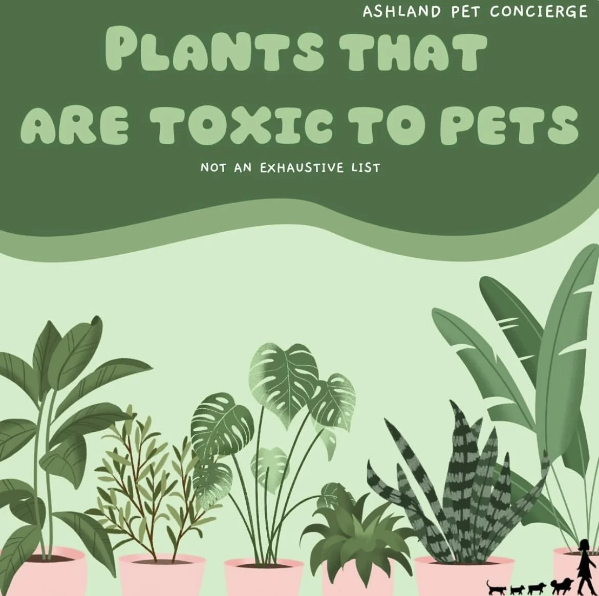 Pet-Safe Houseplants: A Beginner’s Guide for Pet and Plant Lovers