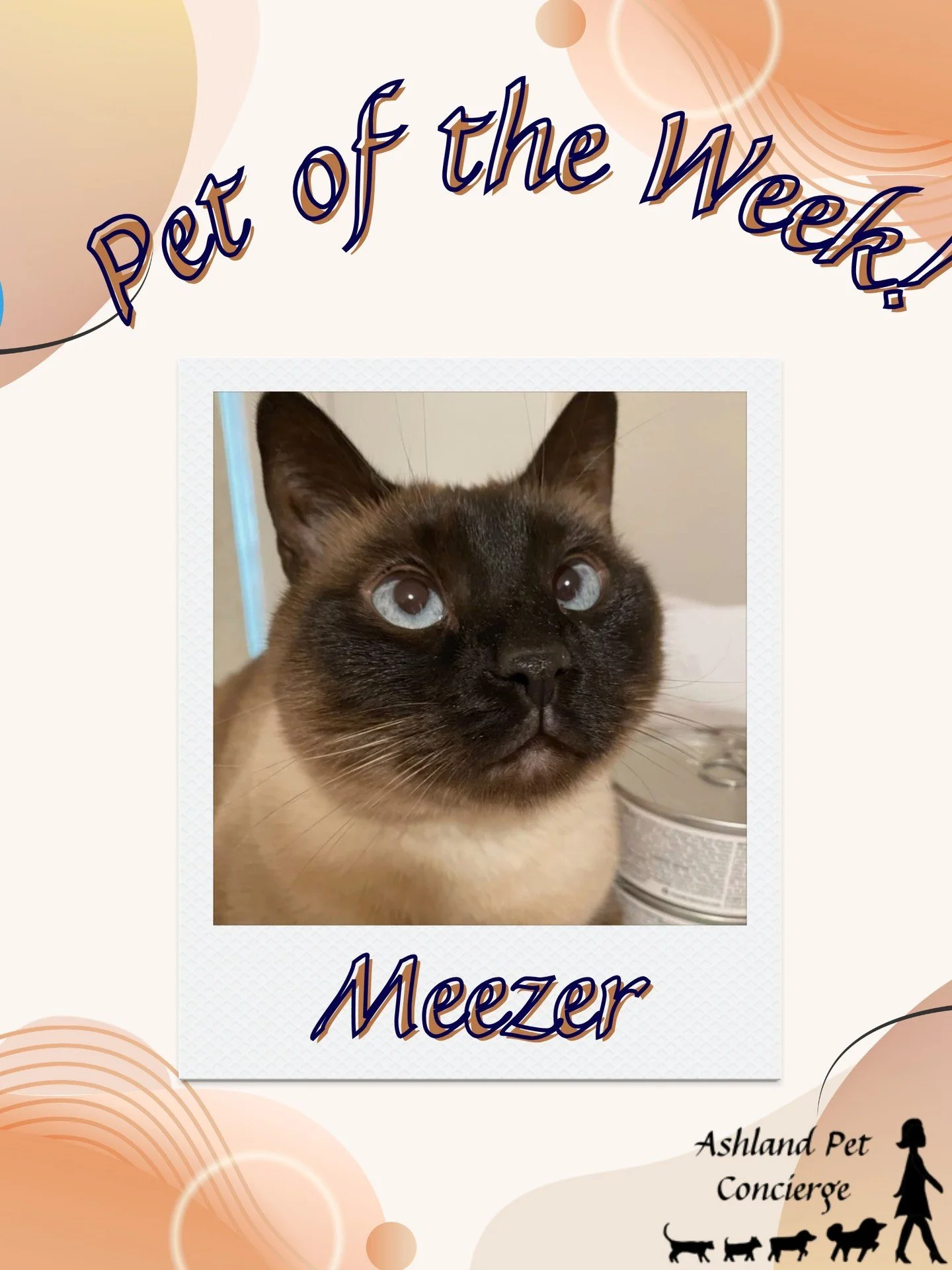 🐾 Pet of the Week: Meezer! 🐾

Meet Meezer, this week&rsquo;s featured pet! 😻💙 We&rsquo;re so happy to give this handsome kitty the spotlight he deserves. Just look at those beautiful blue eyes! 🥰🐾

#AshlandPetConcierge #PetOfTheWeek #Meezer #Ca