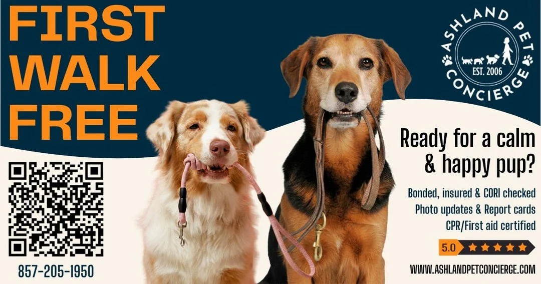 🐾 Looking for a happy, well-cared-for pup? We&rsquo;ve got you covered! 🐾

At Ashland Pet Concierge, we provide reliable, personalized dog walking with photo updates, report cards, and peace of mind every step of the way. 💙

✨ Bonded, insured &amp