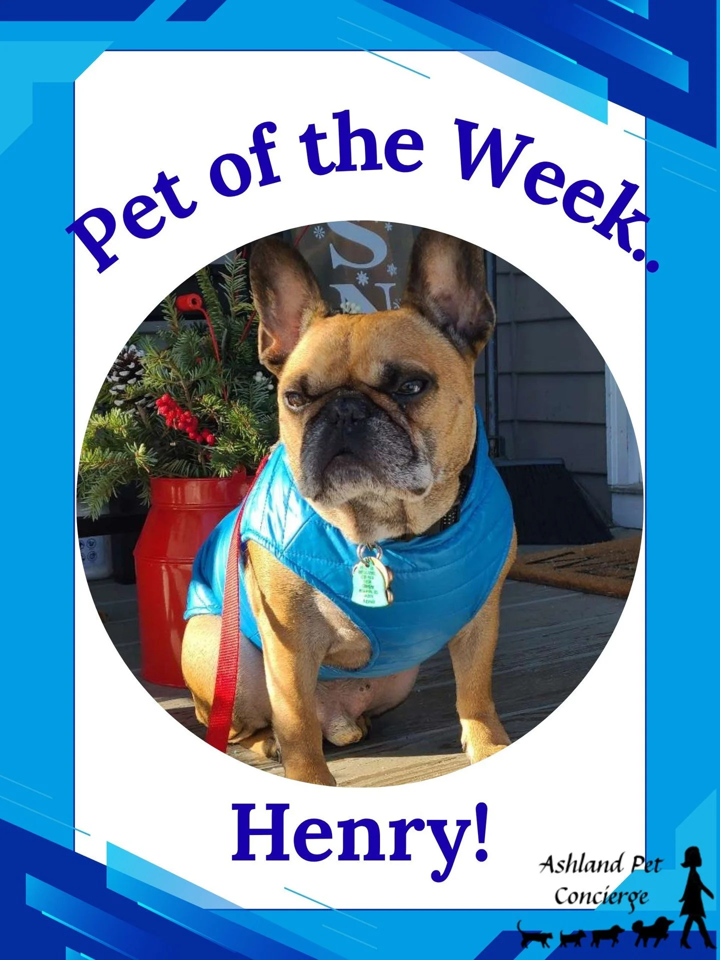 🐾 Pet of the Week: Henry! 🐾

Say hello to Henry! 💙 This handsome little guy is ready to brighten your feed with those big ears and serious little face. 😍 We&rsquo;re so happy to spend time with this adorable pup!

Give Henry some love in the comm