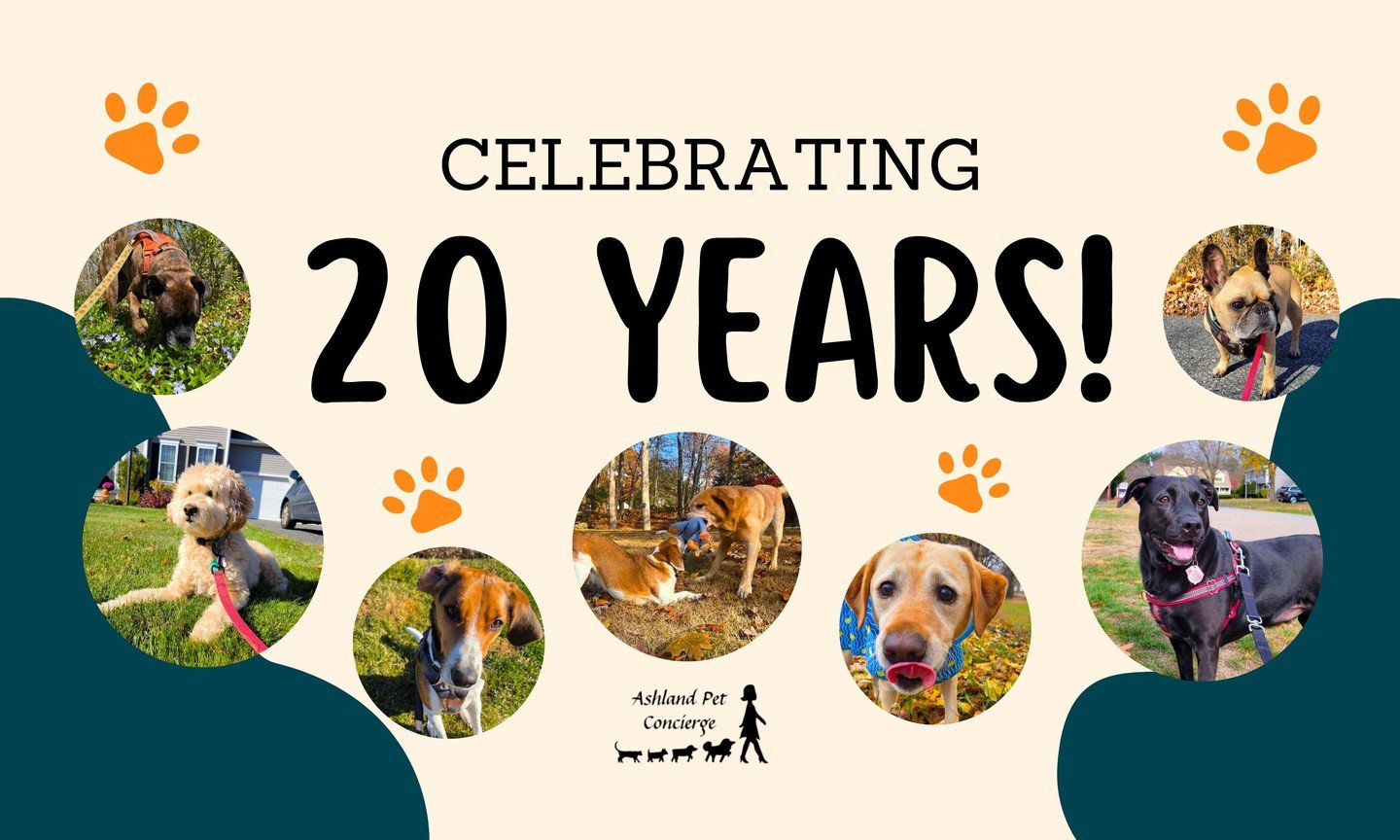 🎉🐾 Celebrating 20 Years of Ashland Pet Concierge! 🐾🎉

For two decades, we&rsquo;ve had the privilege of caring for your beloved pets and becoming part of so many wonderful families&rsquo; lives. ❤️ From first walks to daily visits, we&rsquo;re so