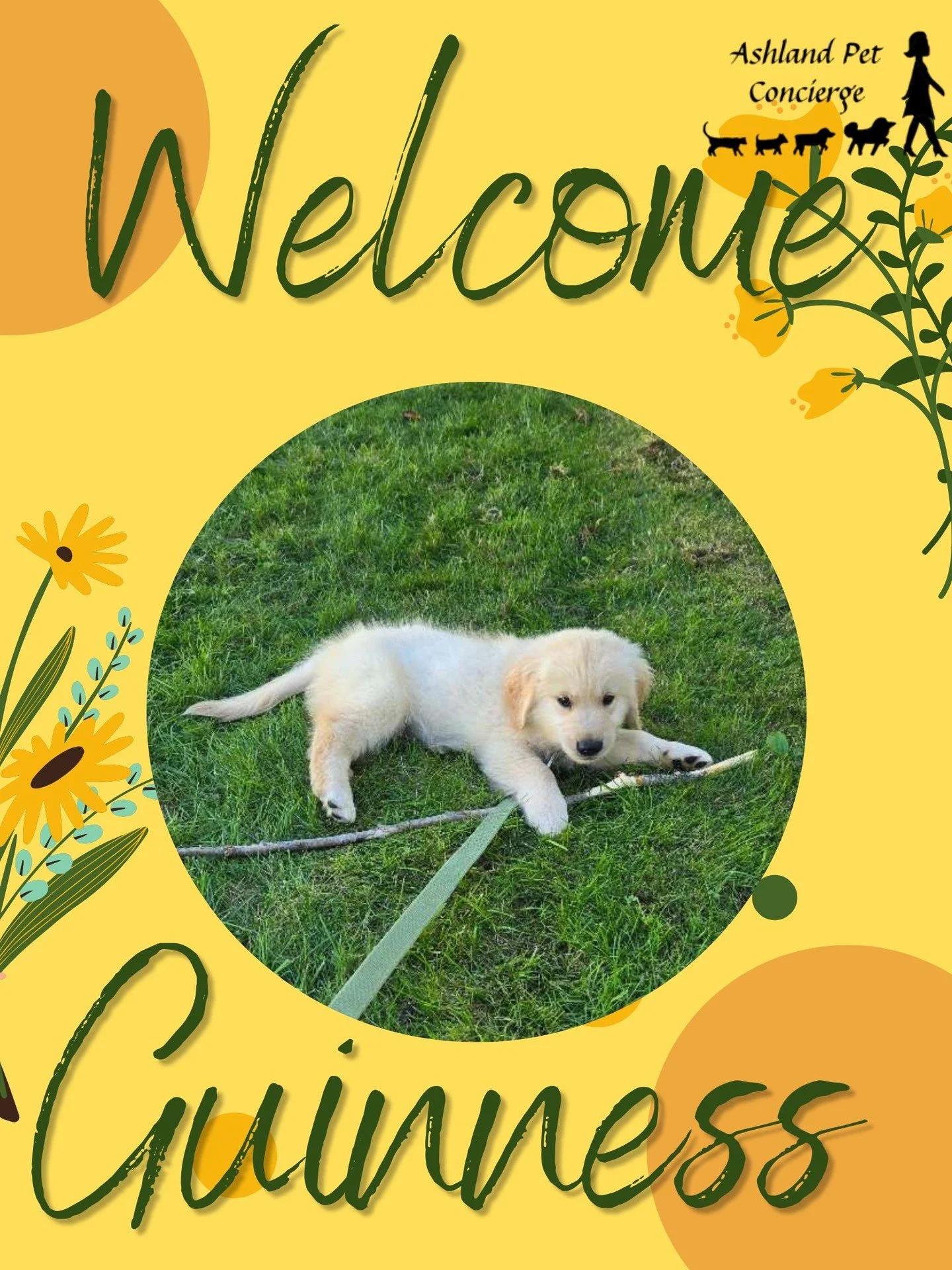 🍂🐾 Welcome to the APC Family! 🐾🍂

We&rsquo;re so happy to welcome this adorable new member to the Ashland Pet Concierge family! 💚 We&rsquo;re looking forward to getting to know them, making them feel comfortable, and giving them plenty of love, 