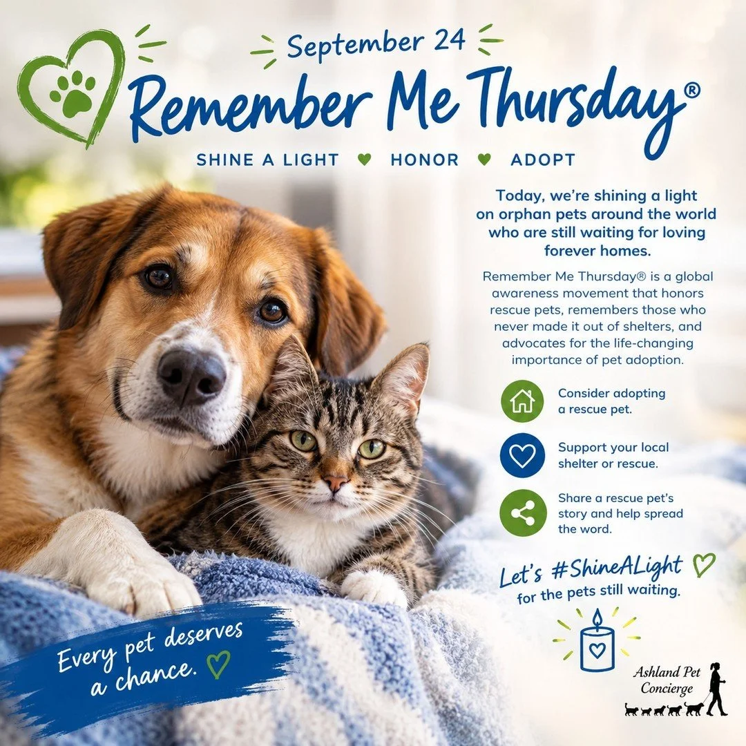 🐾🕯️ Remember Me Thursday&reg; 🕯️🐾

Today, September 24, we&rsquo;re shining a light on orphan pets around the world who are still waiting for loving forever homes. Remember Me Thursday&reg; is a global awareness movement that honors rescue pets, 