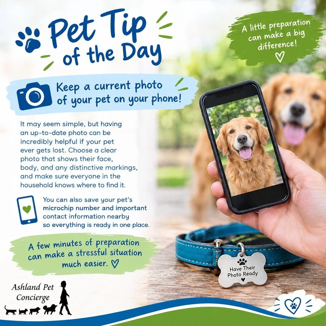 🐾 Pet Tip of the Day 🐾

📸 Keep a current photo of your pet on your phone!

It may seem simple, but having an up-to-date photo can be incredibly helpful if your pet ever gets lost. Choose a clear photo that shows their face, body, and any distincti