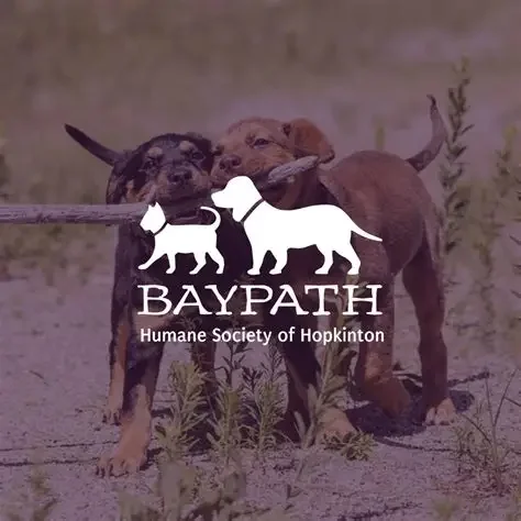 Two puppies playing with a stick on a dirt path with grass and plants in the background. Overlaid text reads 'BAYPATH Humane Society of Hopkinton' with a dog logo.