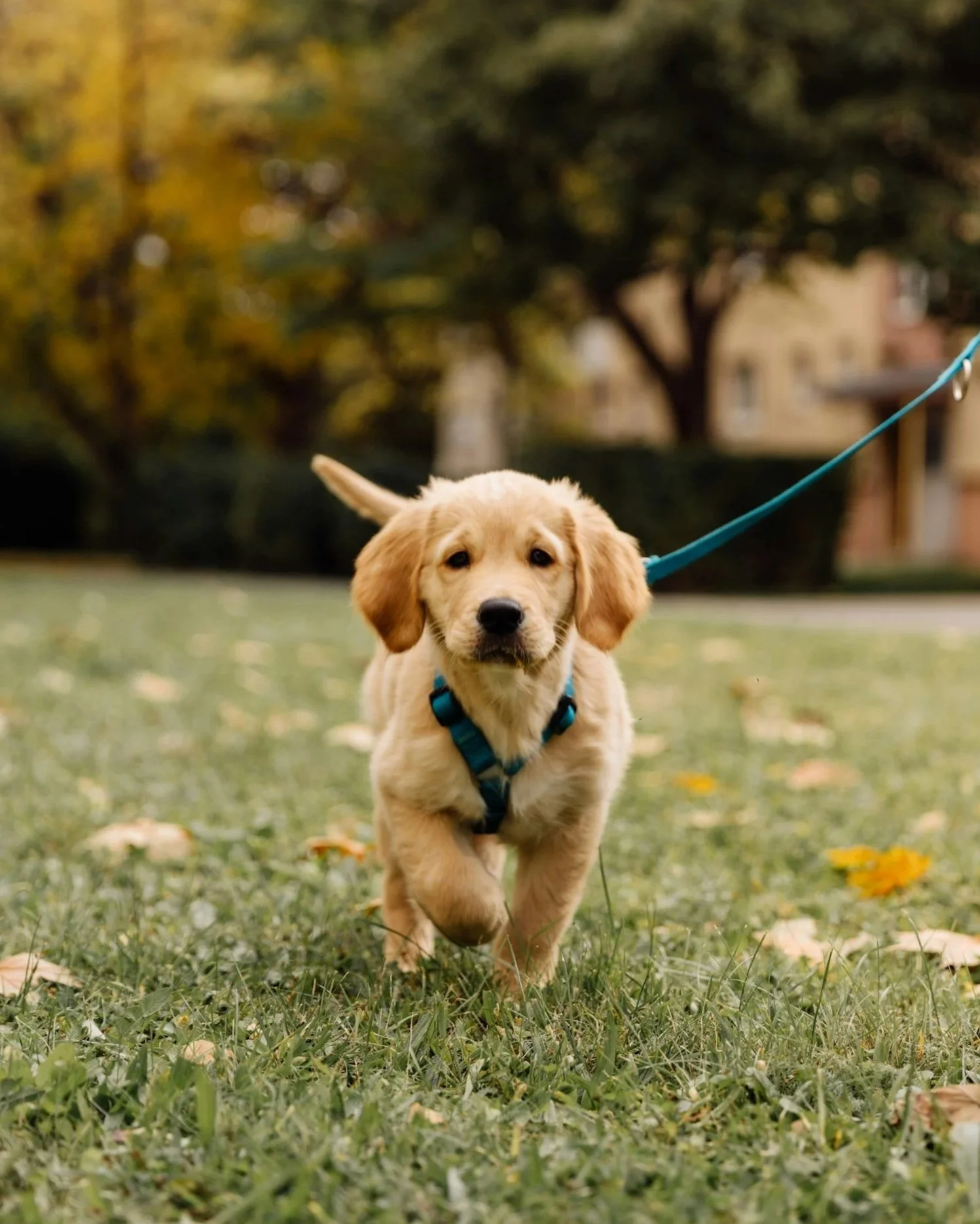 unsplash-image-wQzmEm52F_8.jpg