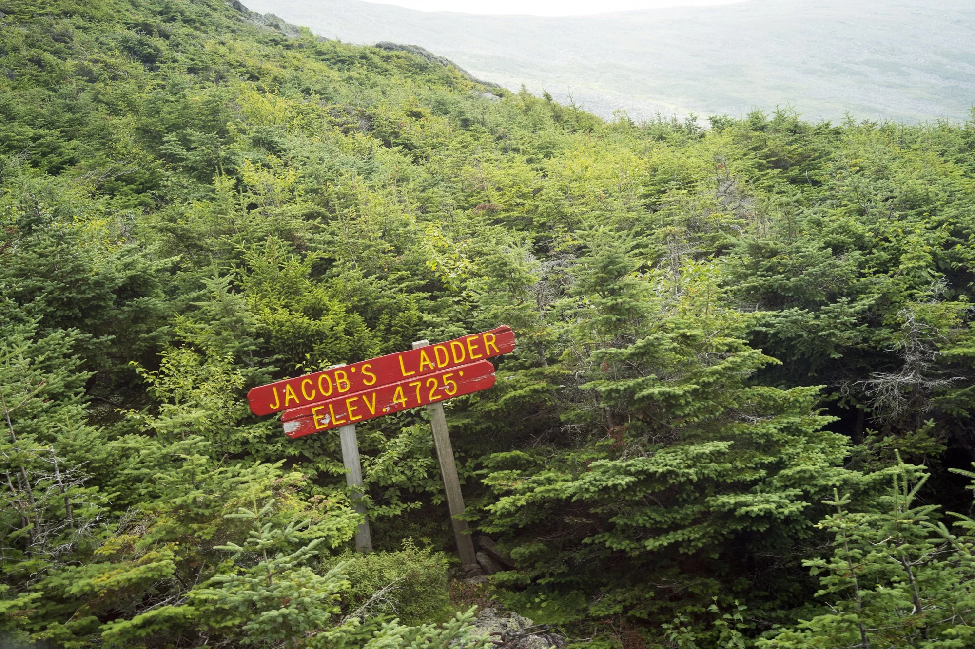 Landscapes