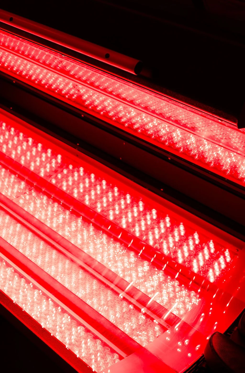 Close-up of red LED grow lights, showing multiple rows of bright red lights in a dark space.
