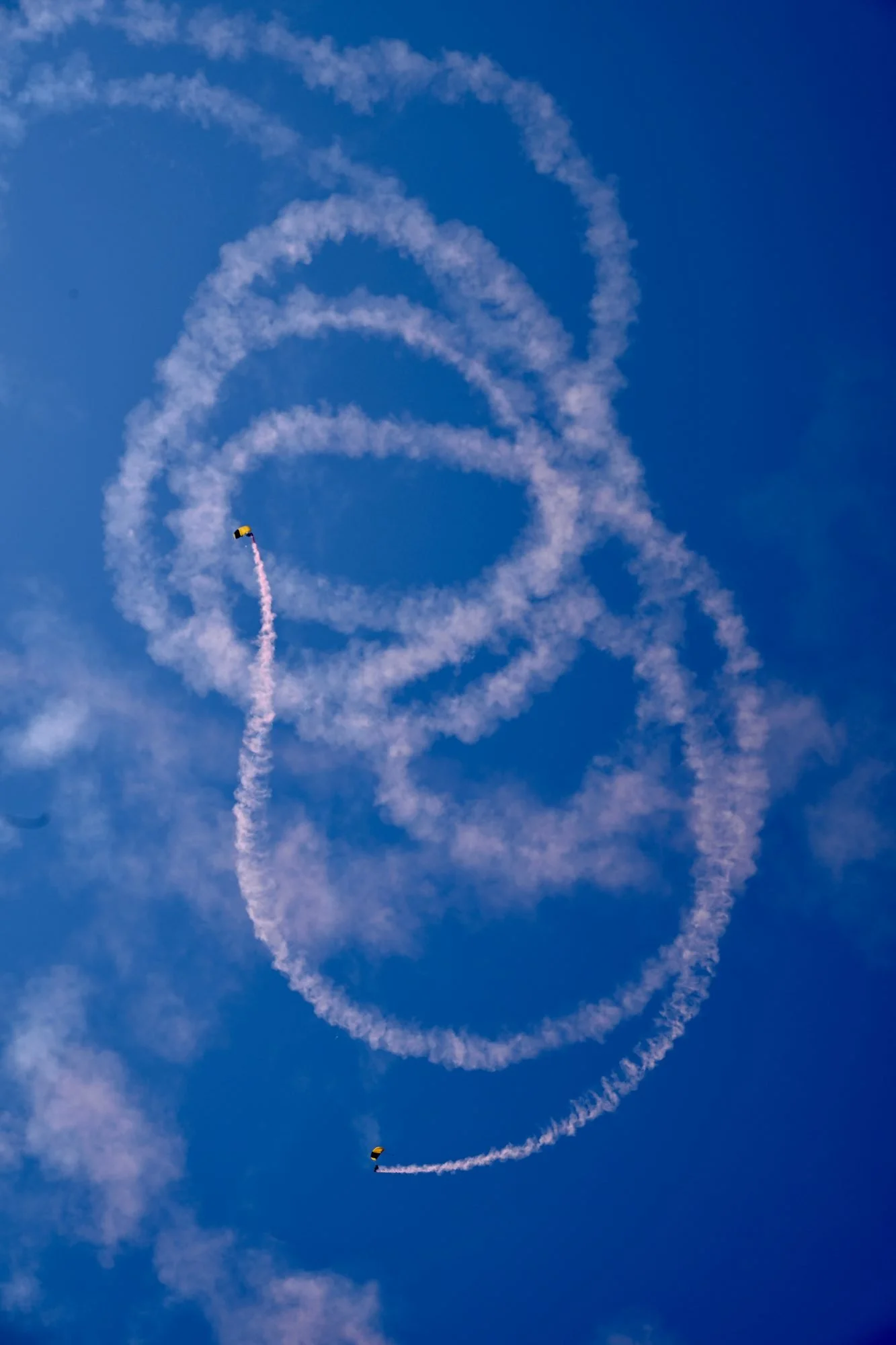 Z8B_2282.jpg