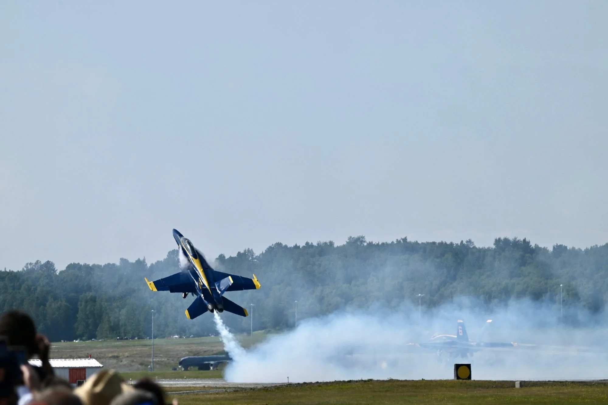 Z8A_9081.jpg