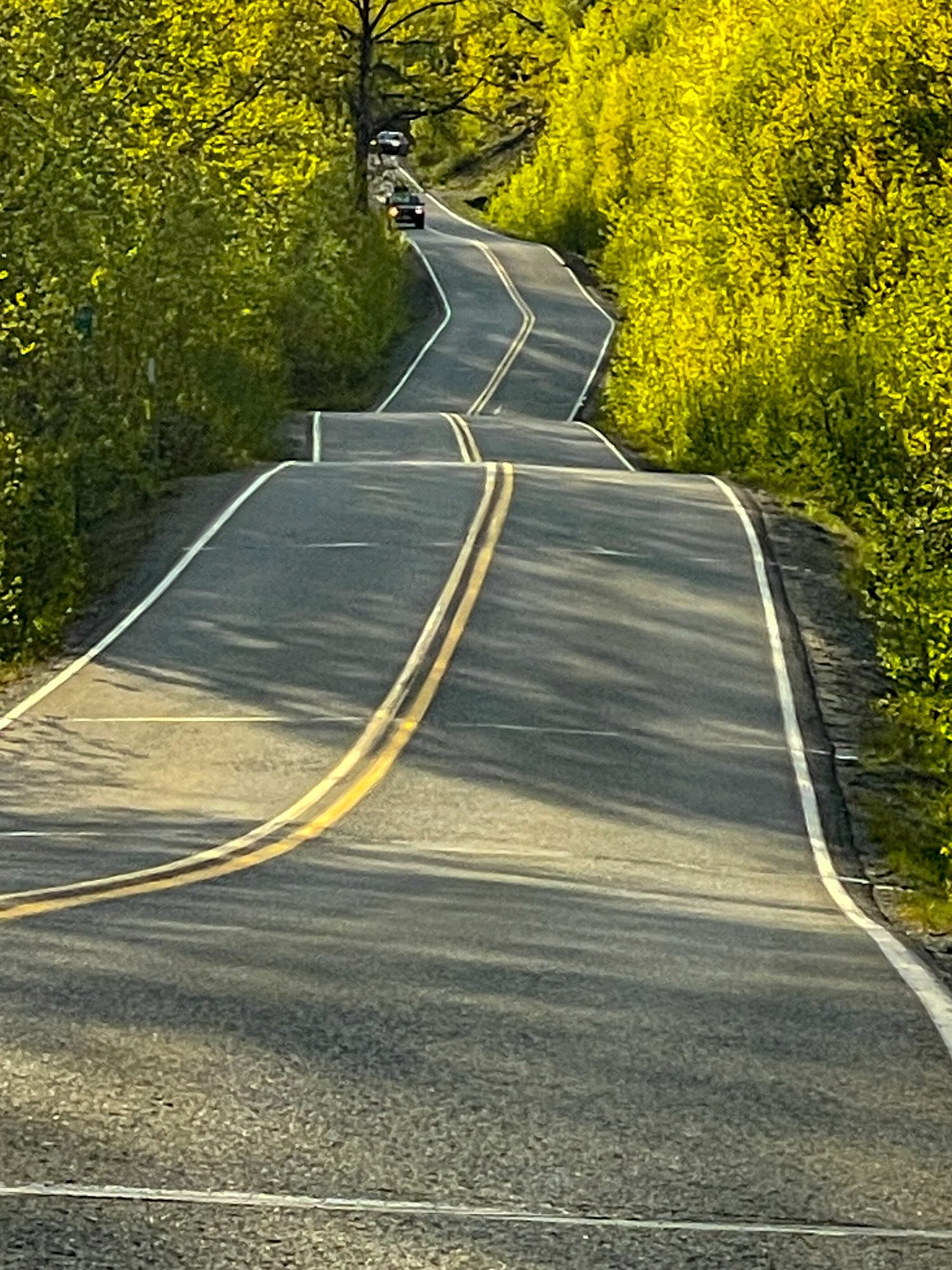 A winding two-lane road through a green, wooded area, with several cars driving along it.