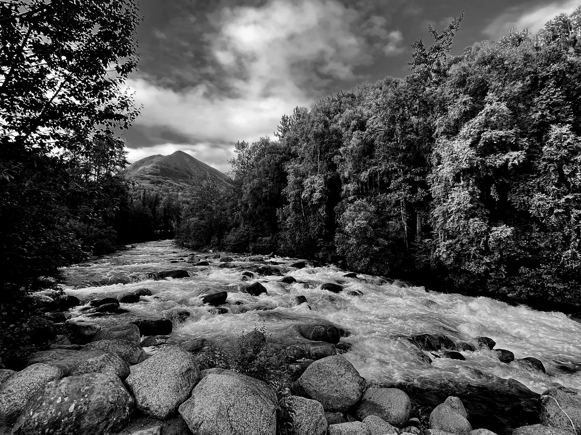 Little Su BW