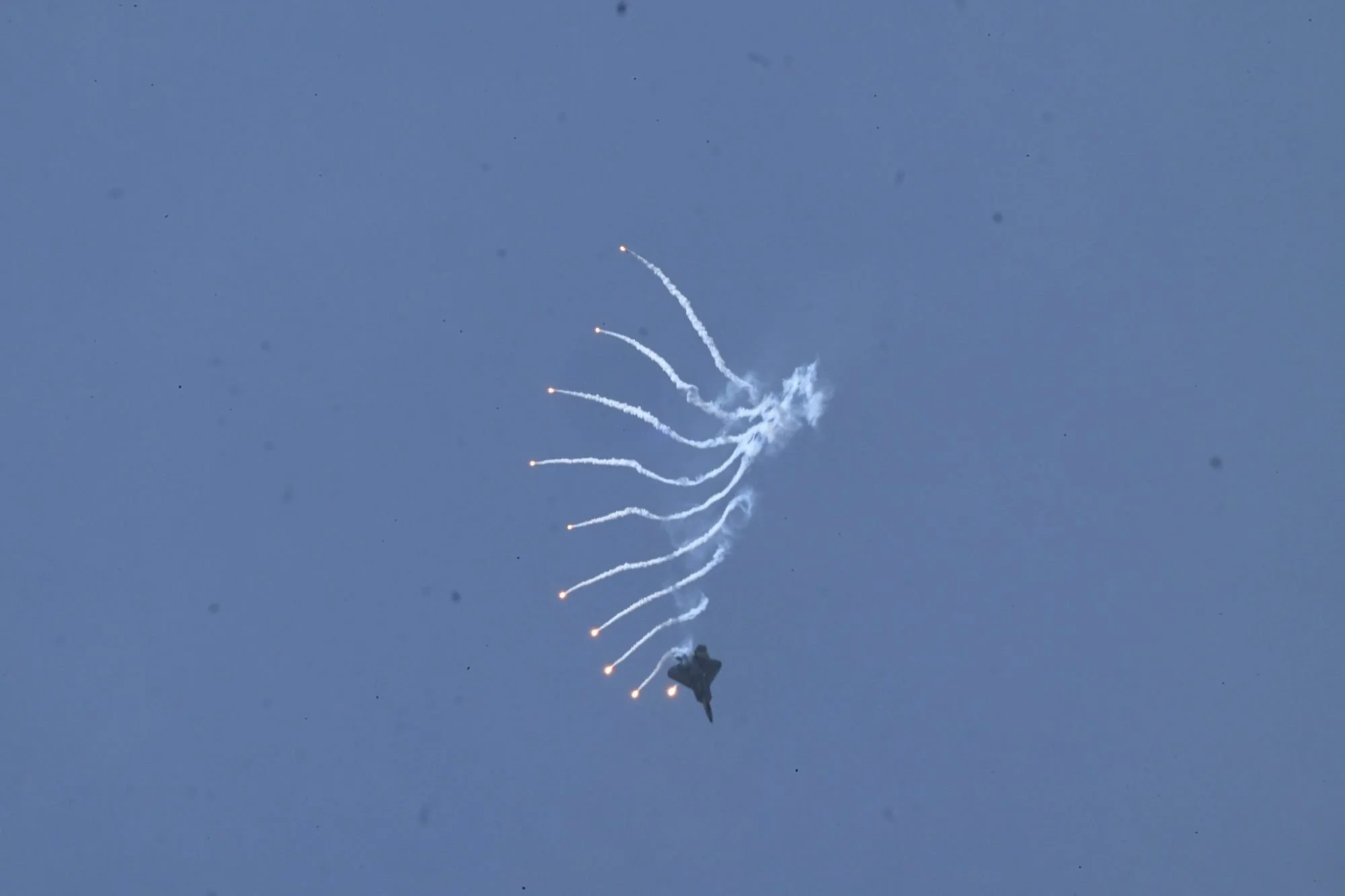 Z8A_8572.jpg