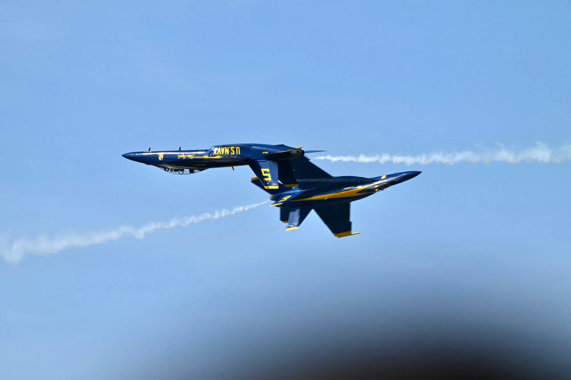 Z8A_9204.jpg
