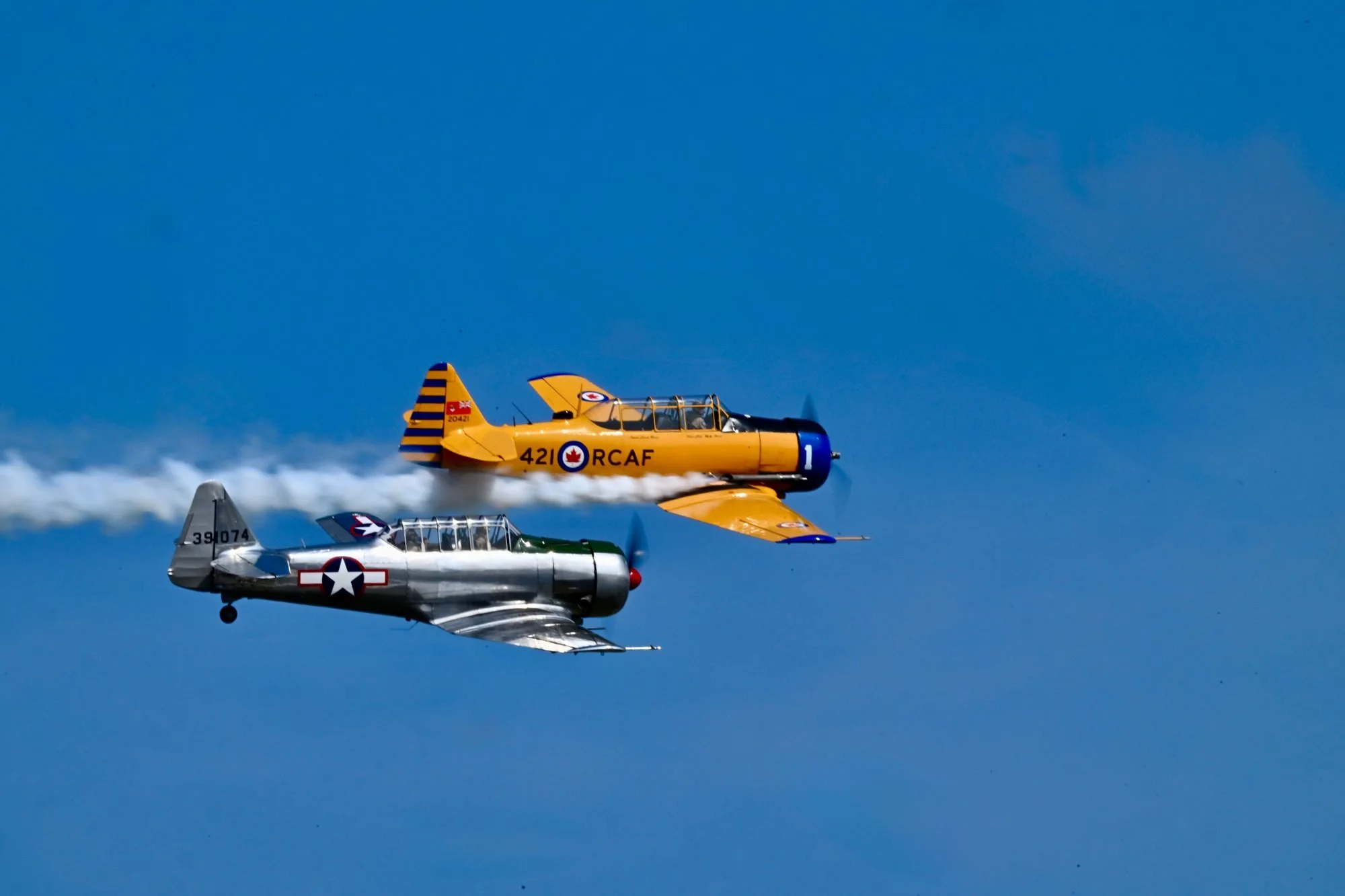 Z8A_7661.jpg