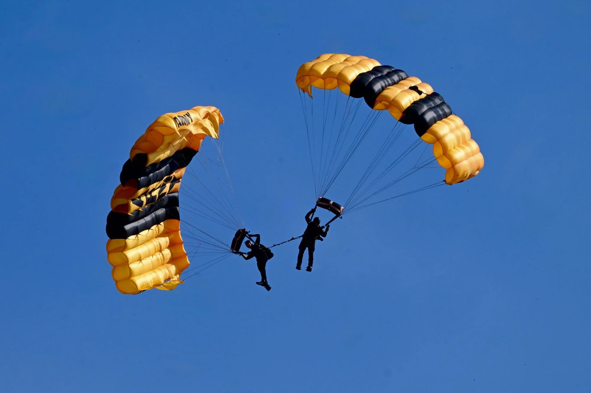 Z8A_7577.jpg