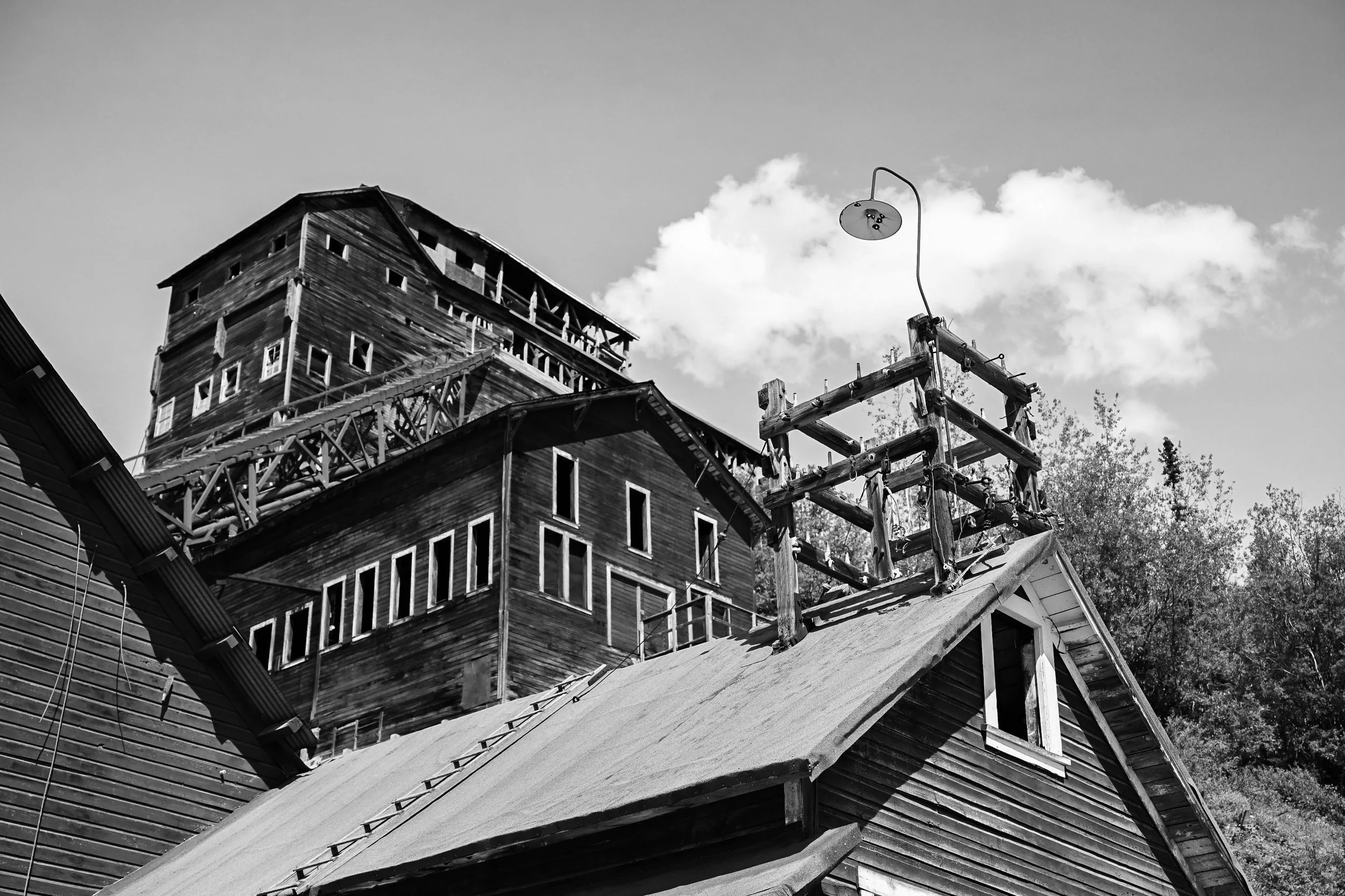 Kennicott Lamp BW~Z80_9418.jpg