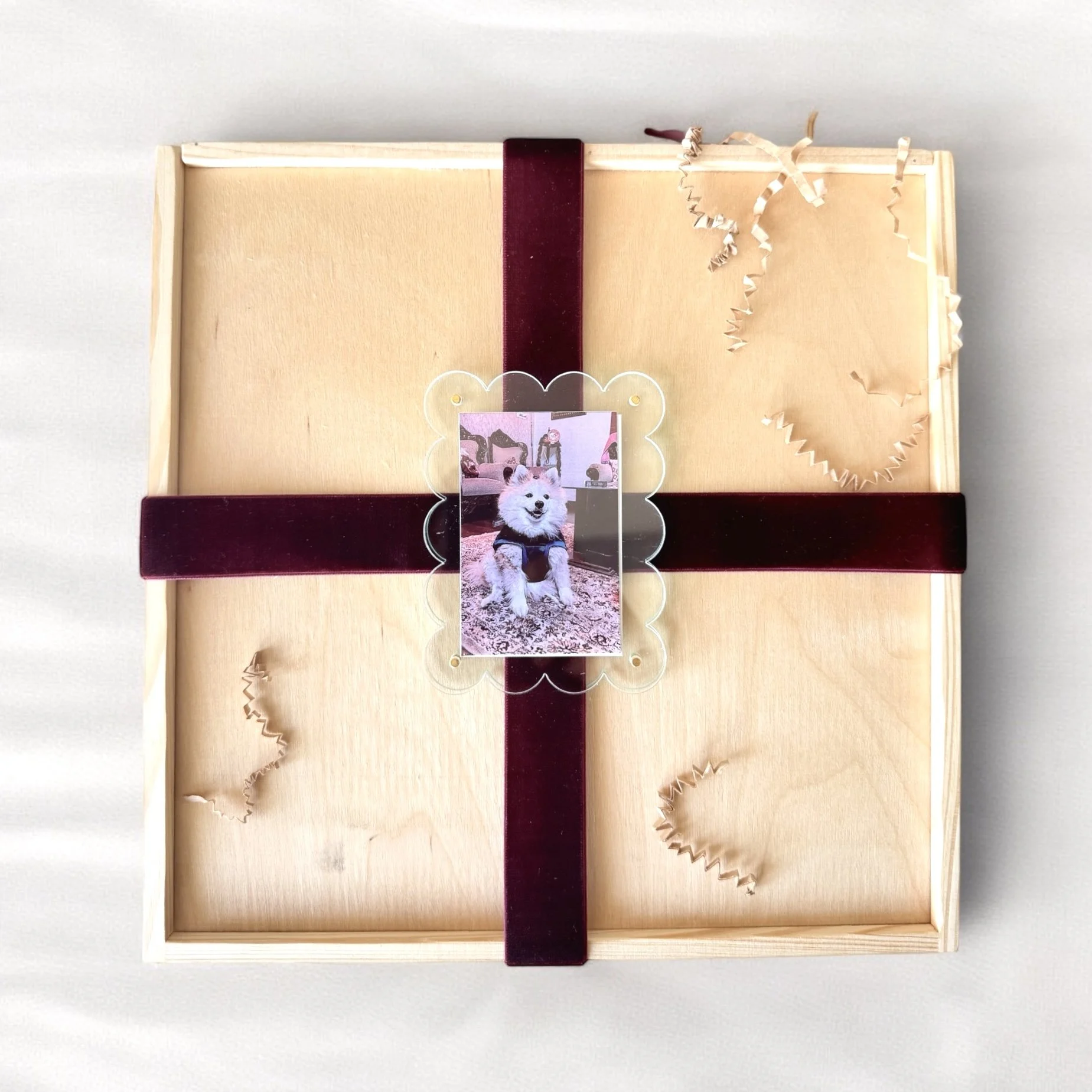 Pet gift box with curated puppy essentials and playful Go Gaga packaging