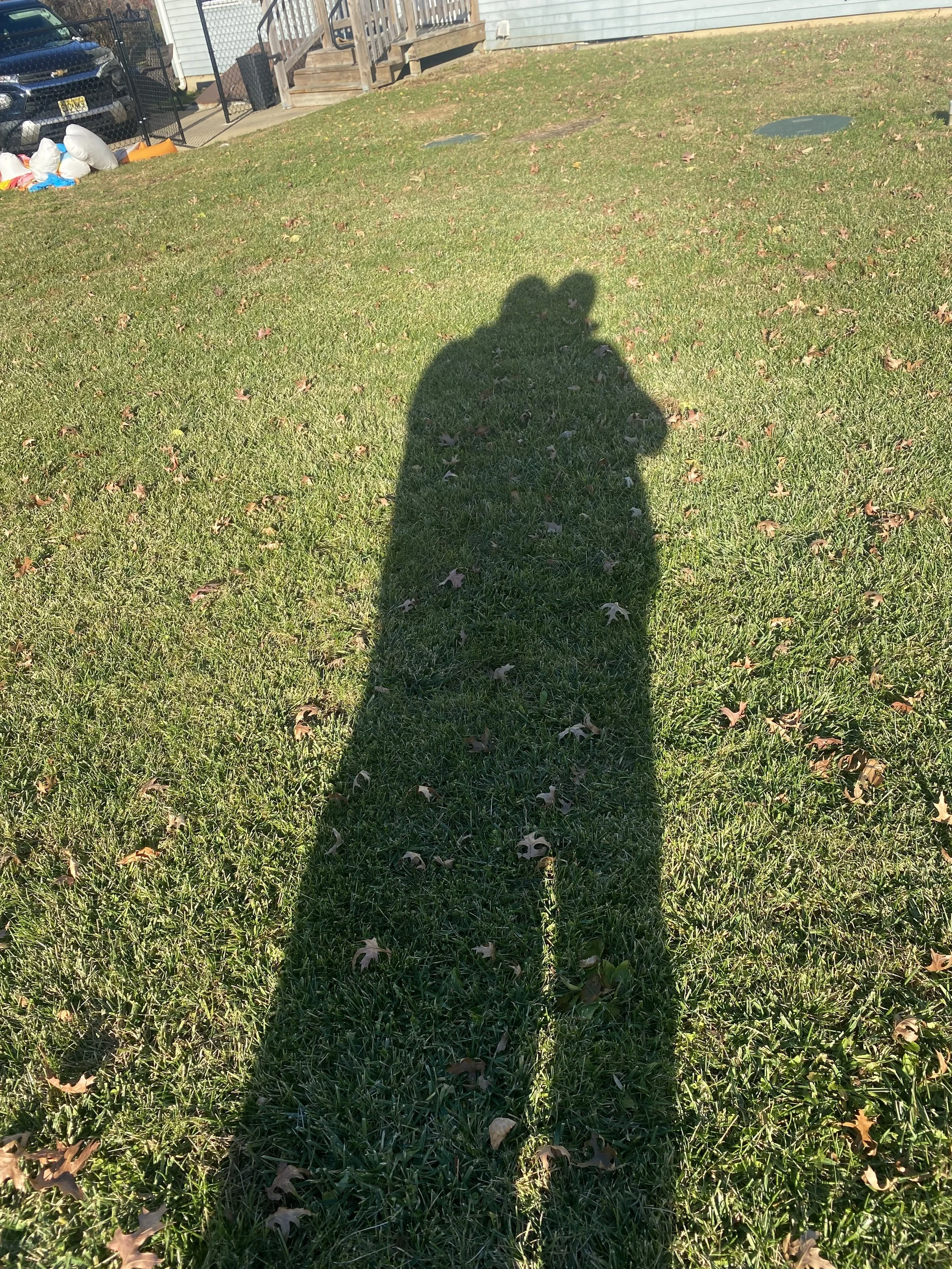 Shadow of a person taking a photo on a grassy lawn with fallen leaves, a house with a staircase, and parked cars in the background.