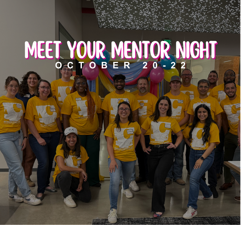 Meet Your Mentor Night 