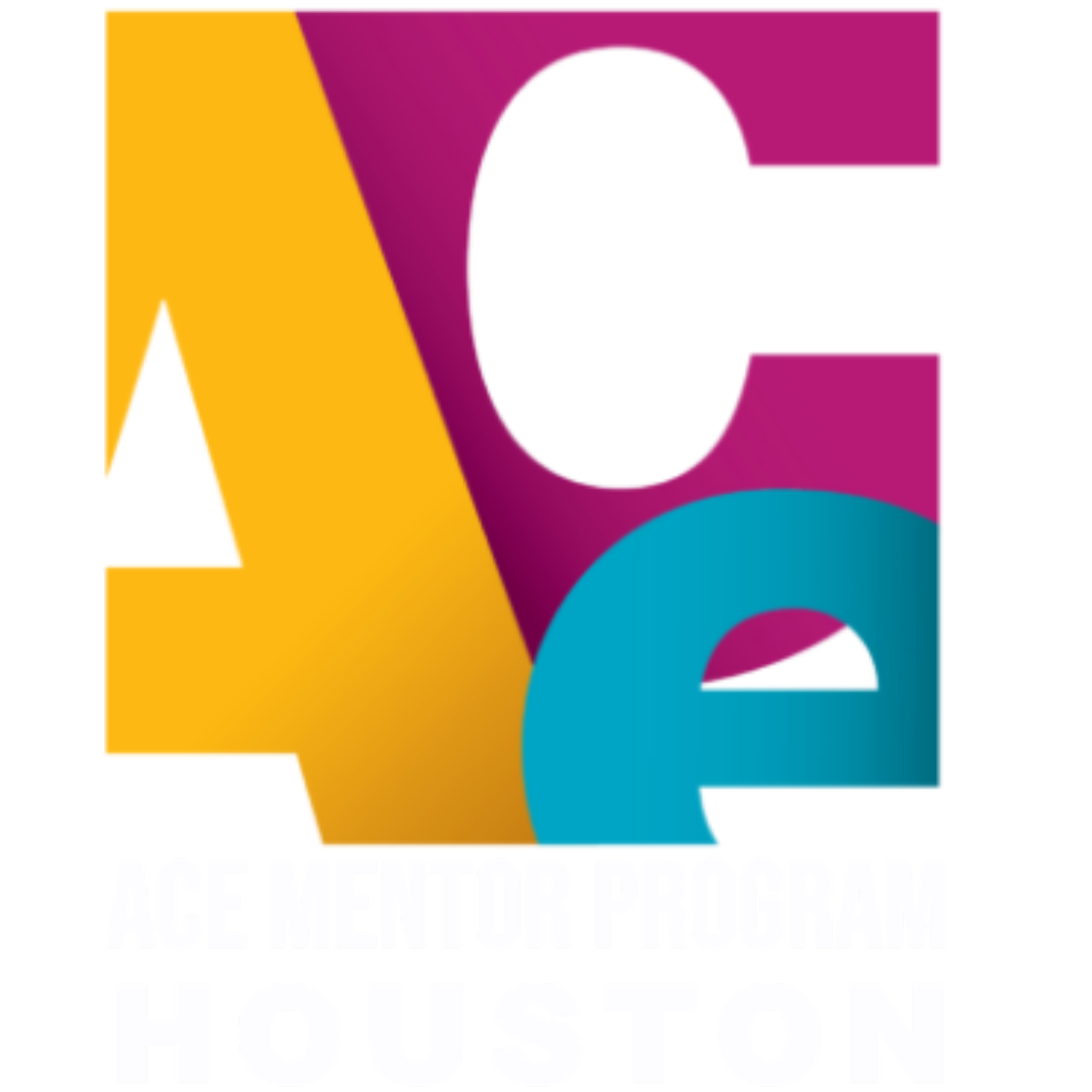 ACE Mentor Program Houston
