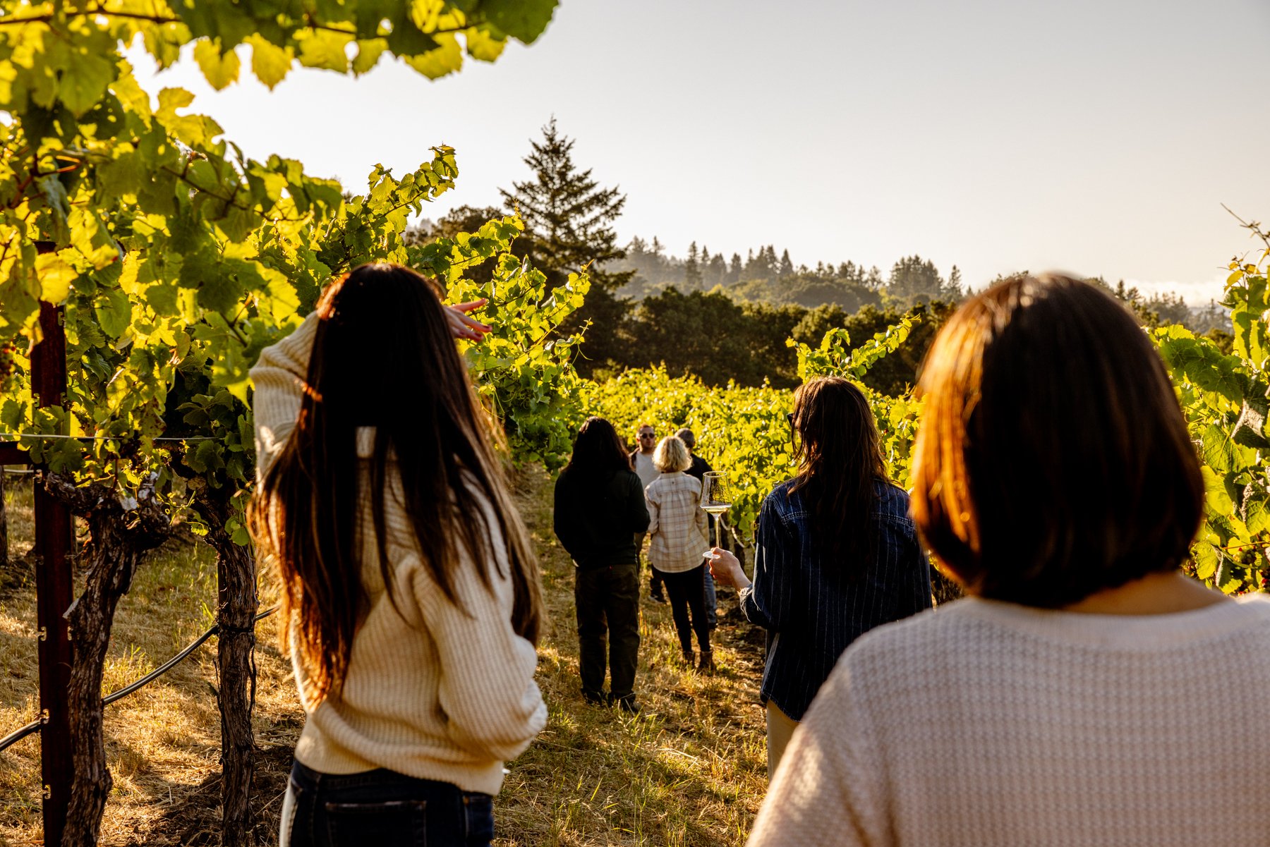 Vineyard Hike &amp; Winery Tour