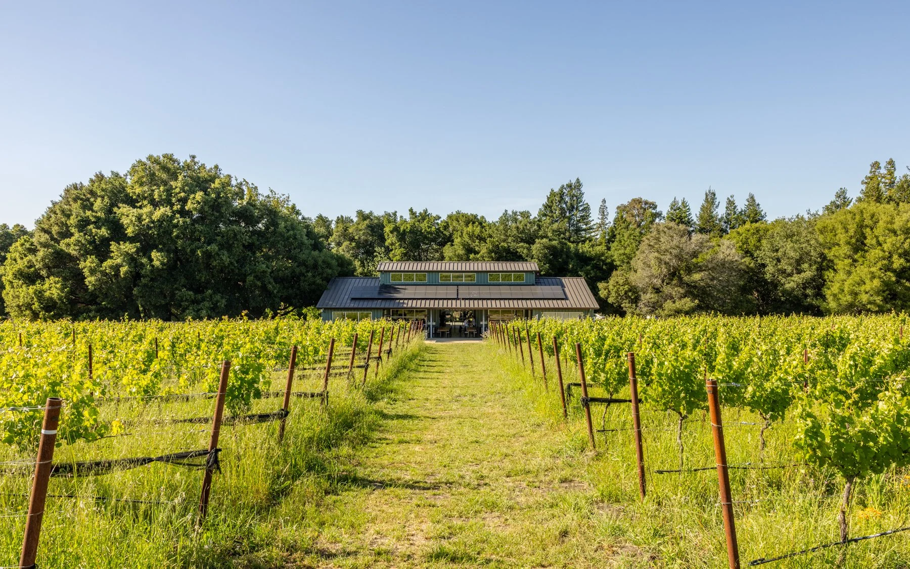 Terroir in a Glass: Santa Cruz Winegrowers Association Dinner