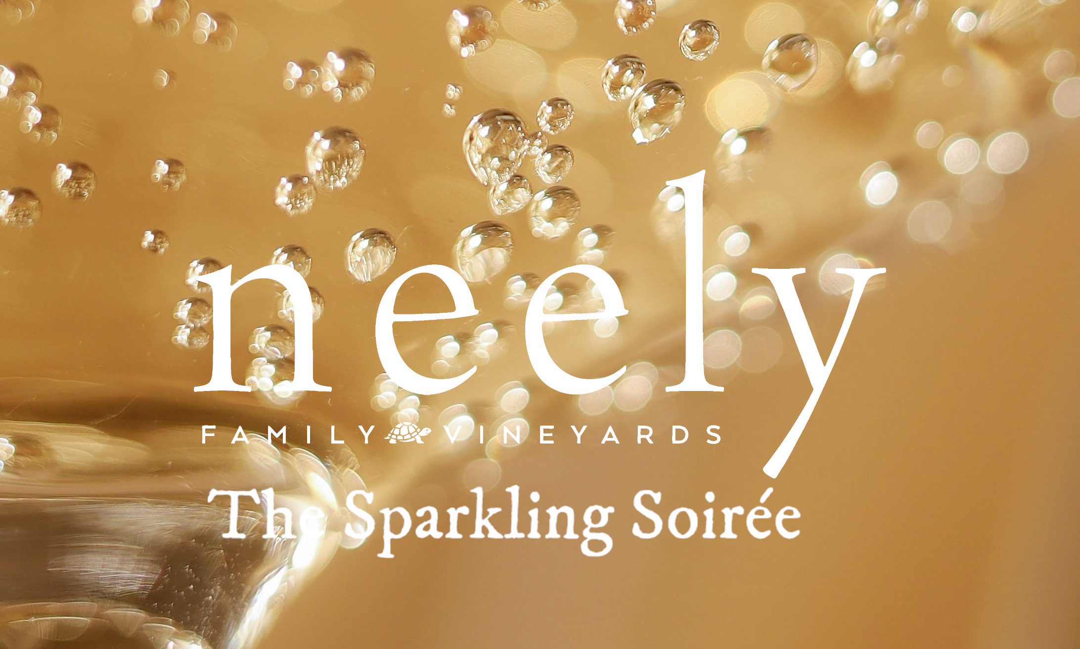 The Sparkling Soirée