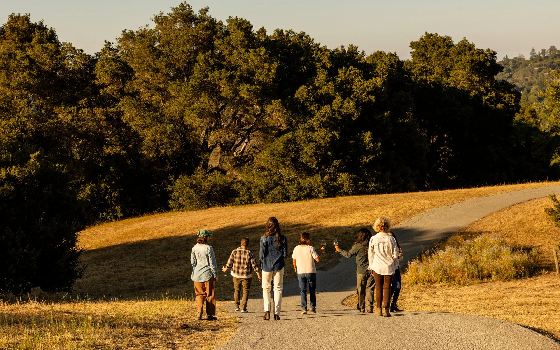 neely-wines_nicola-parisi_june2026_vineyards+hike_0878.jpg