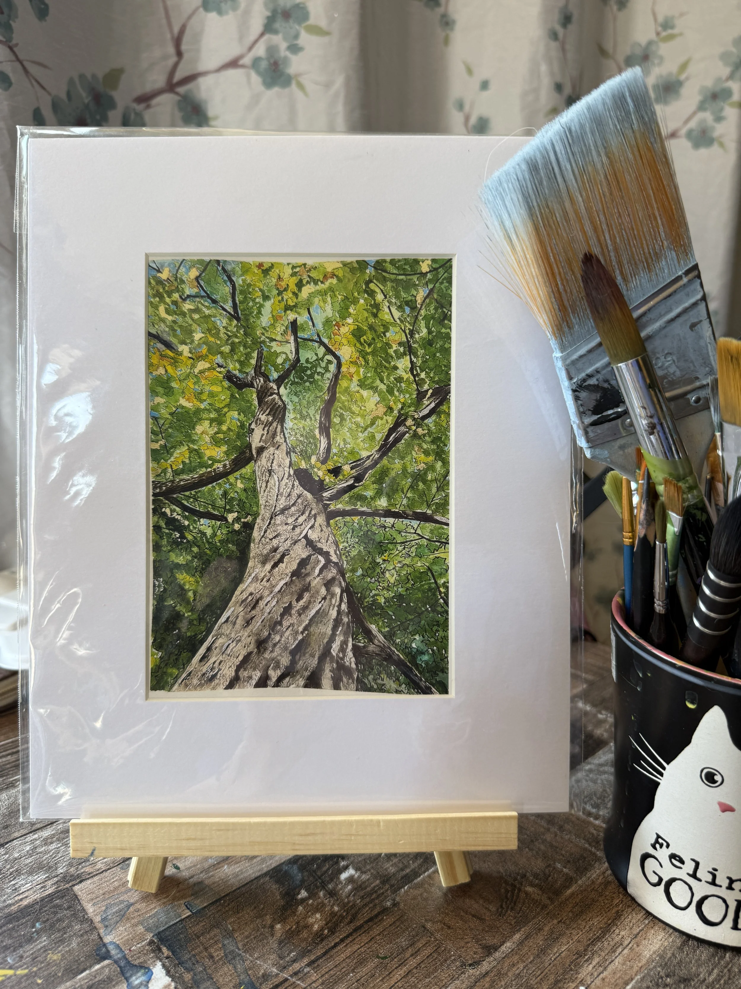 Look Up - Fine Art Print