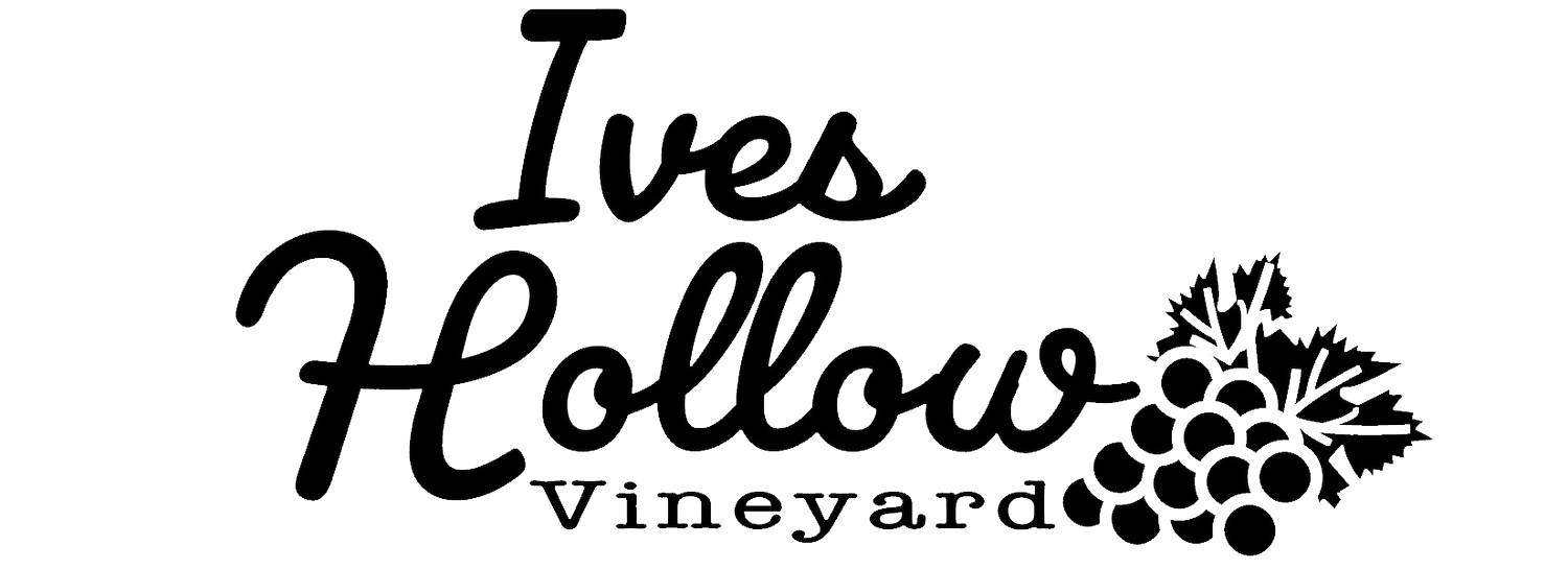 Your Site Title